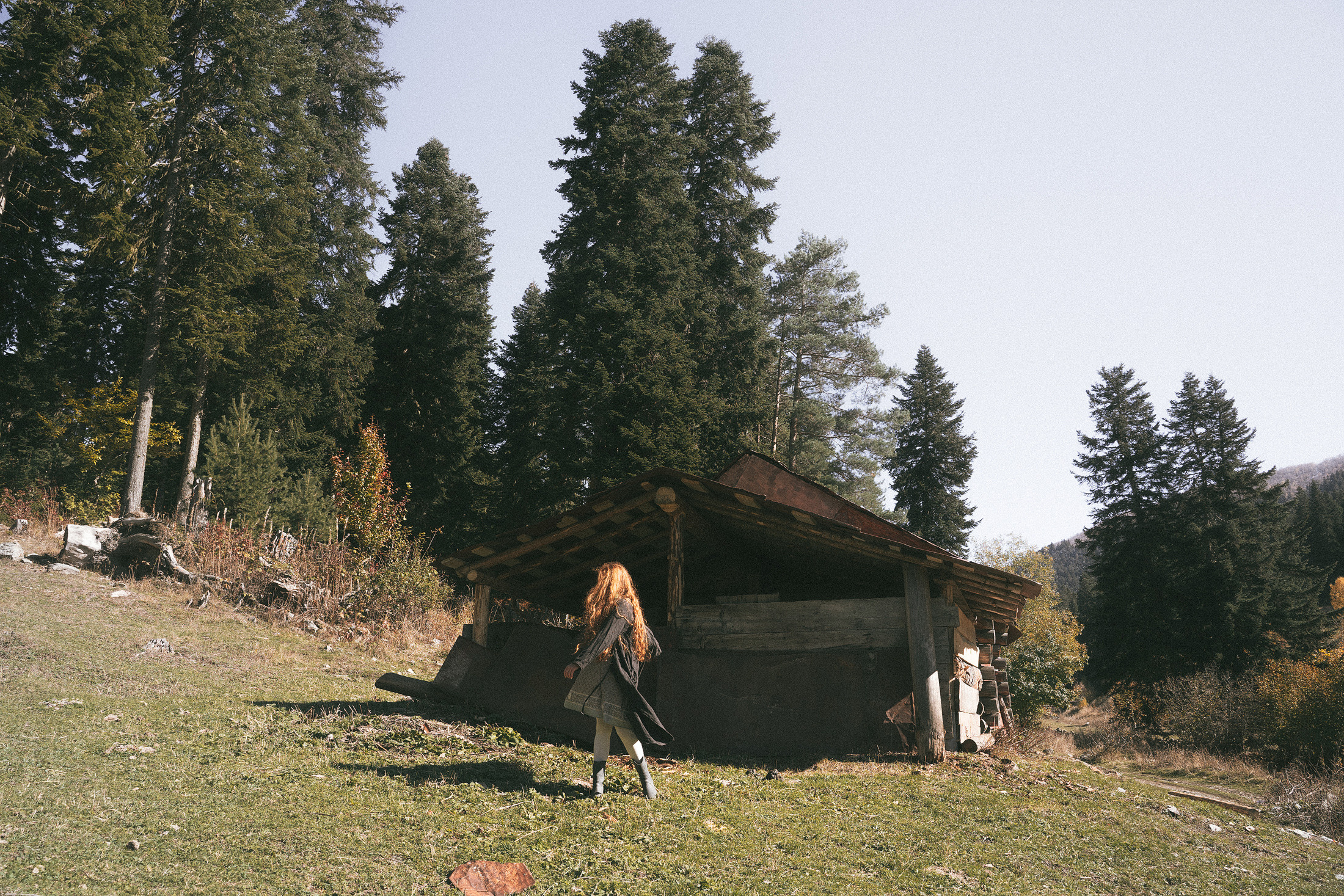 Бег. Алиса Аницкая