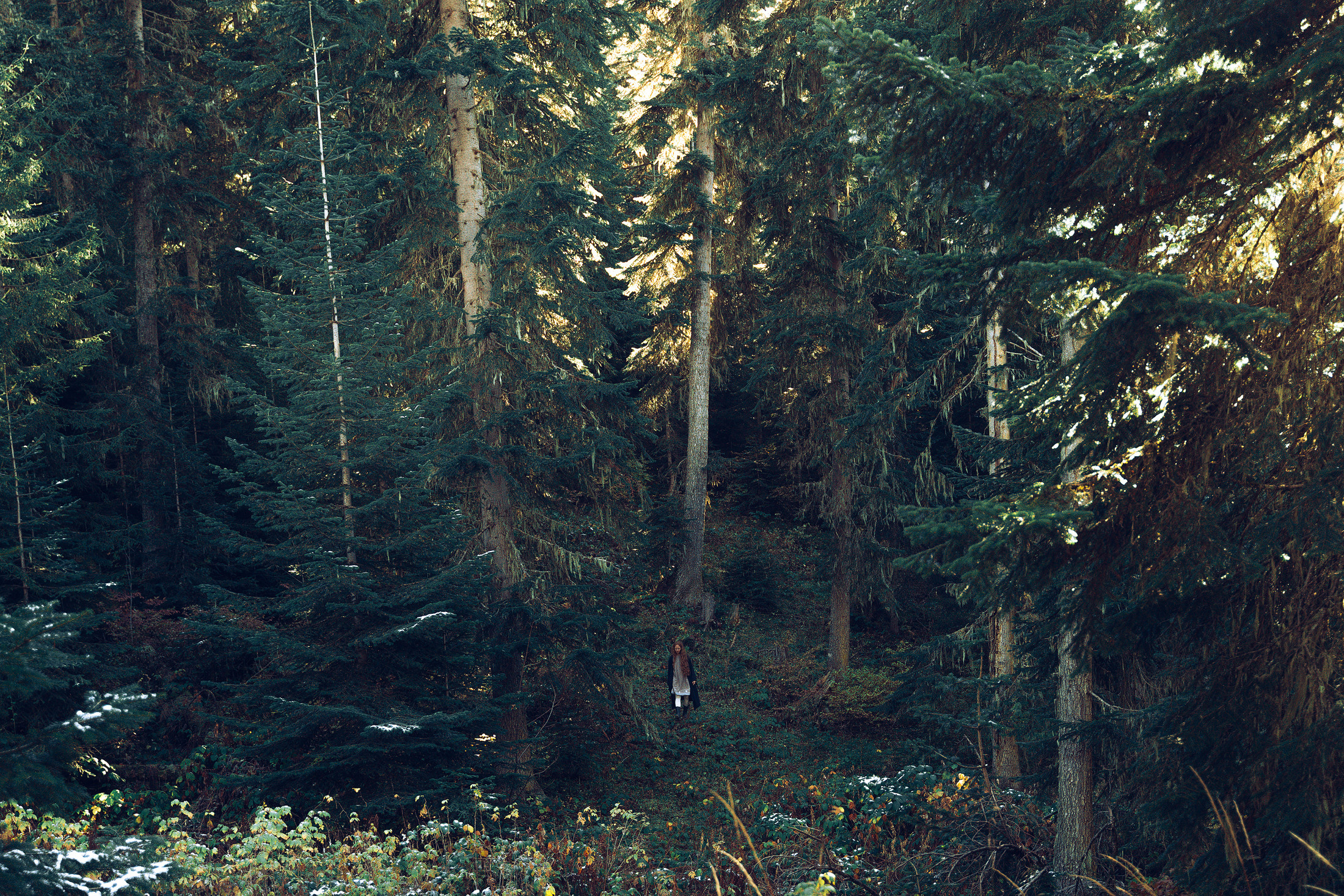 Бег. Алиса Аницкая