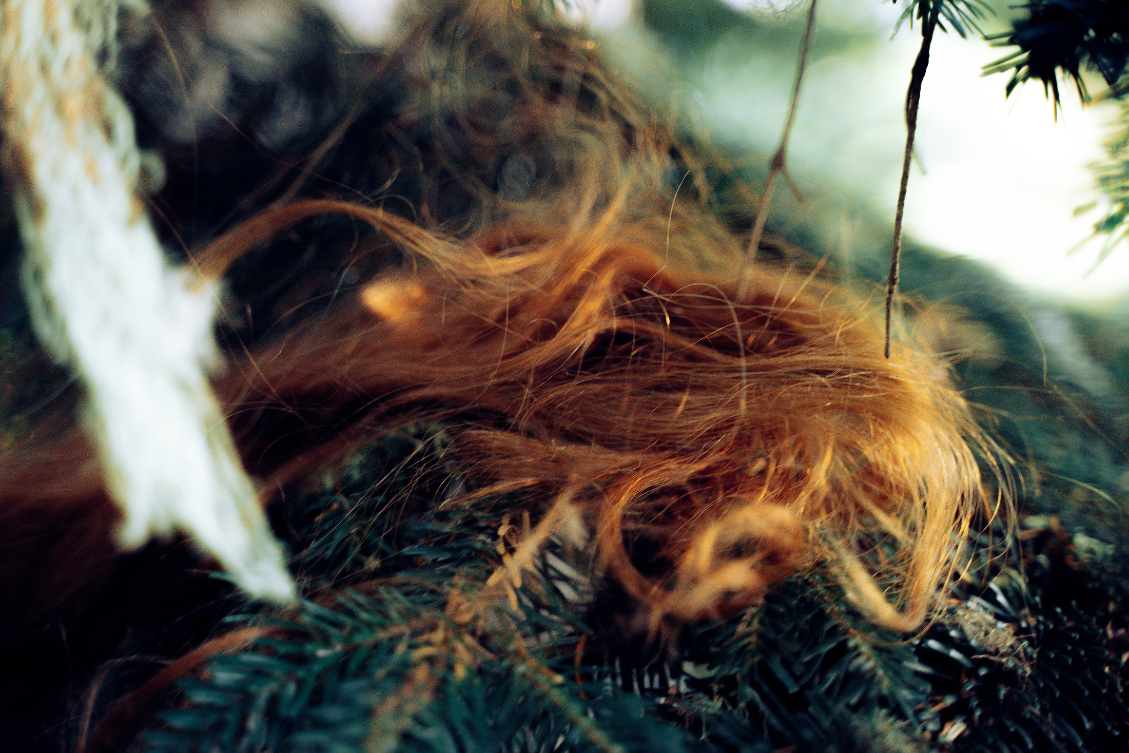 Бег. Алиса Аницкая