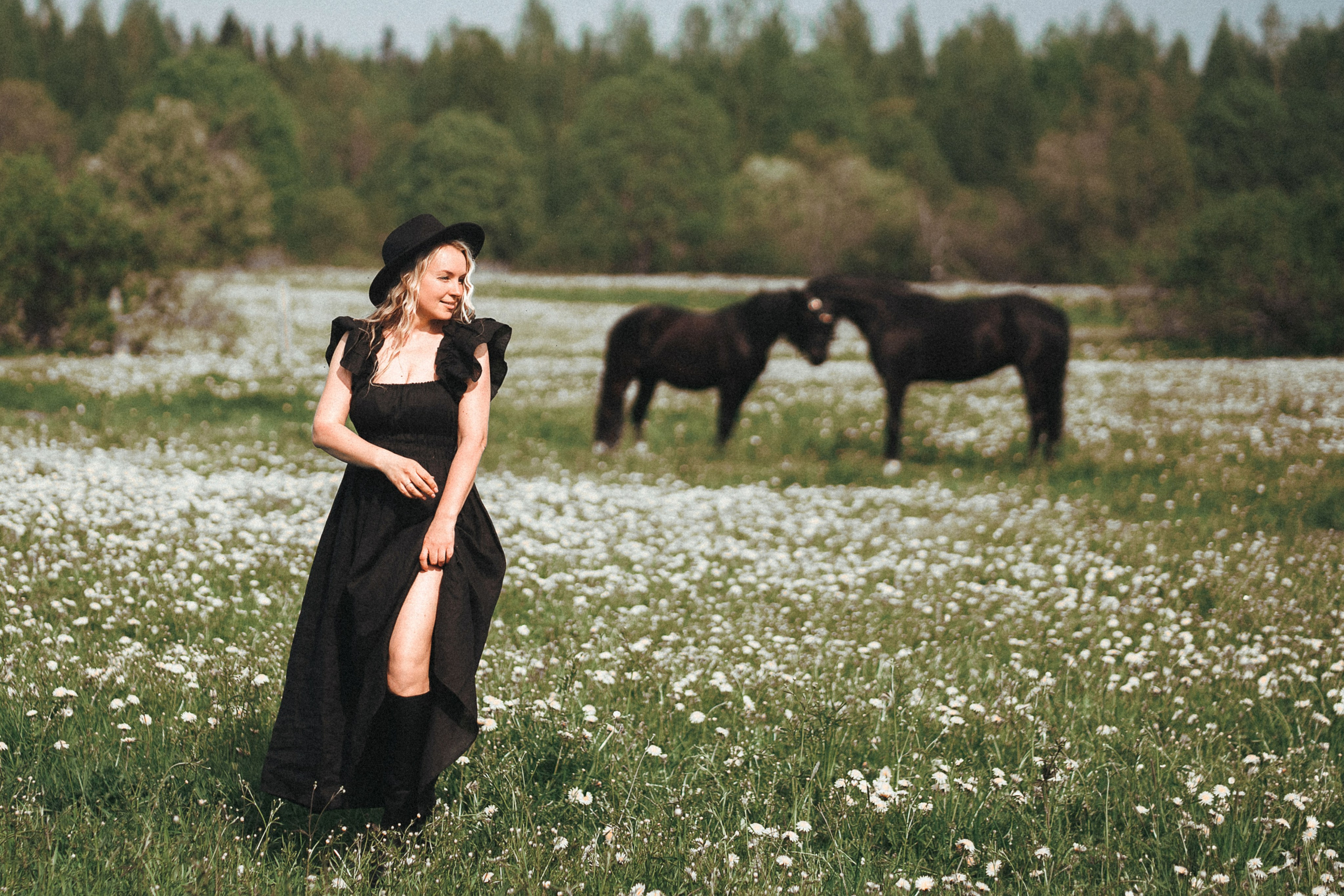 Конные. Главная