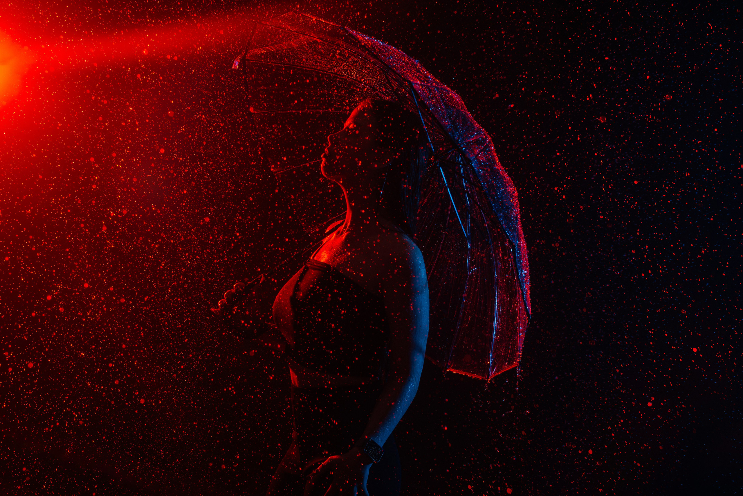 Студийные съёмки. Фотограф Елена Рогашкова