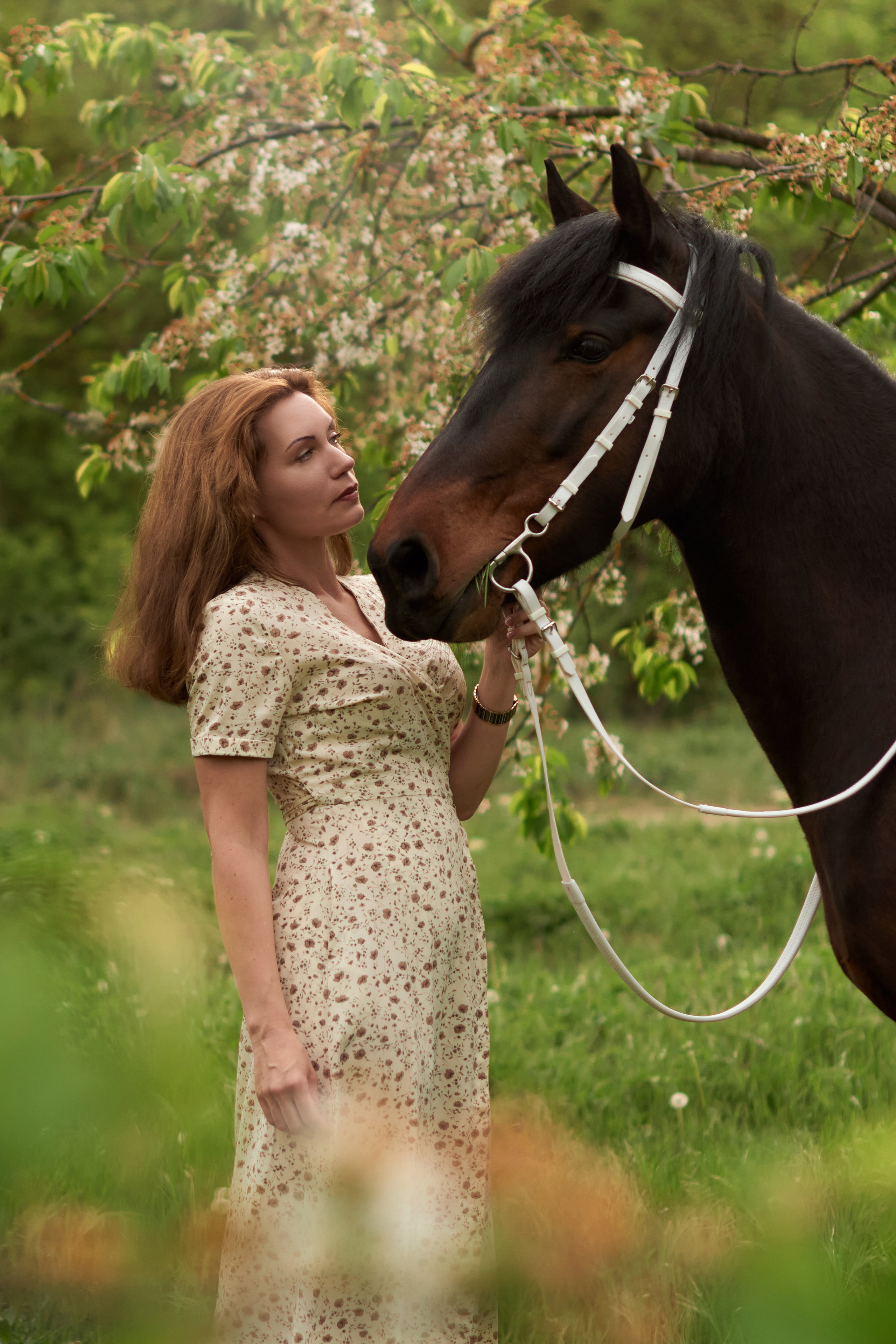 Фотосессия с лошадью Севастополь. Фотограф в Севастополе