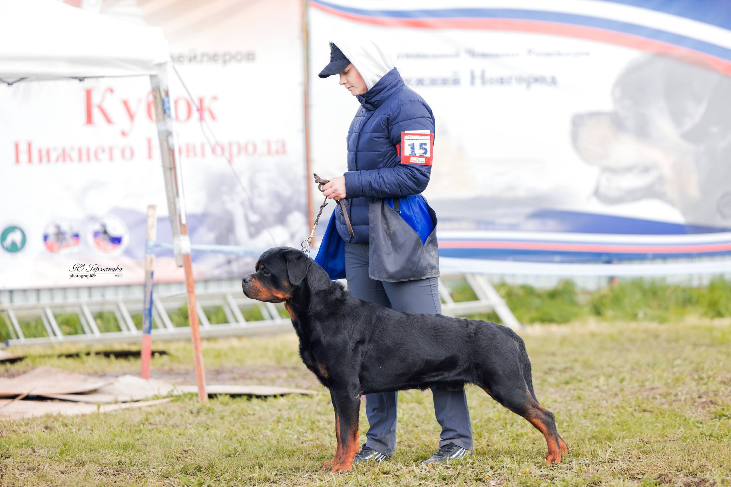 Нижний Новгород 2хмоно ротвейлеров 10-11.05.2025. Фотограф-анималист Юлия Германика