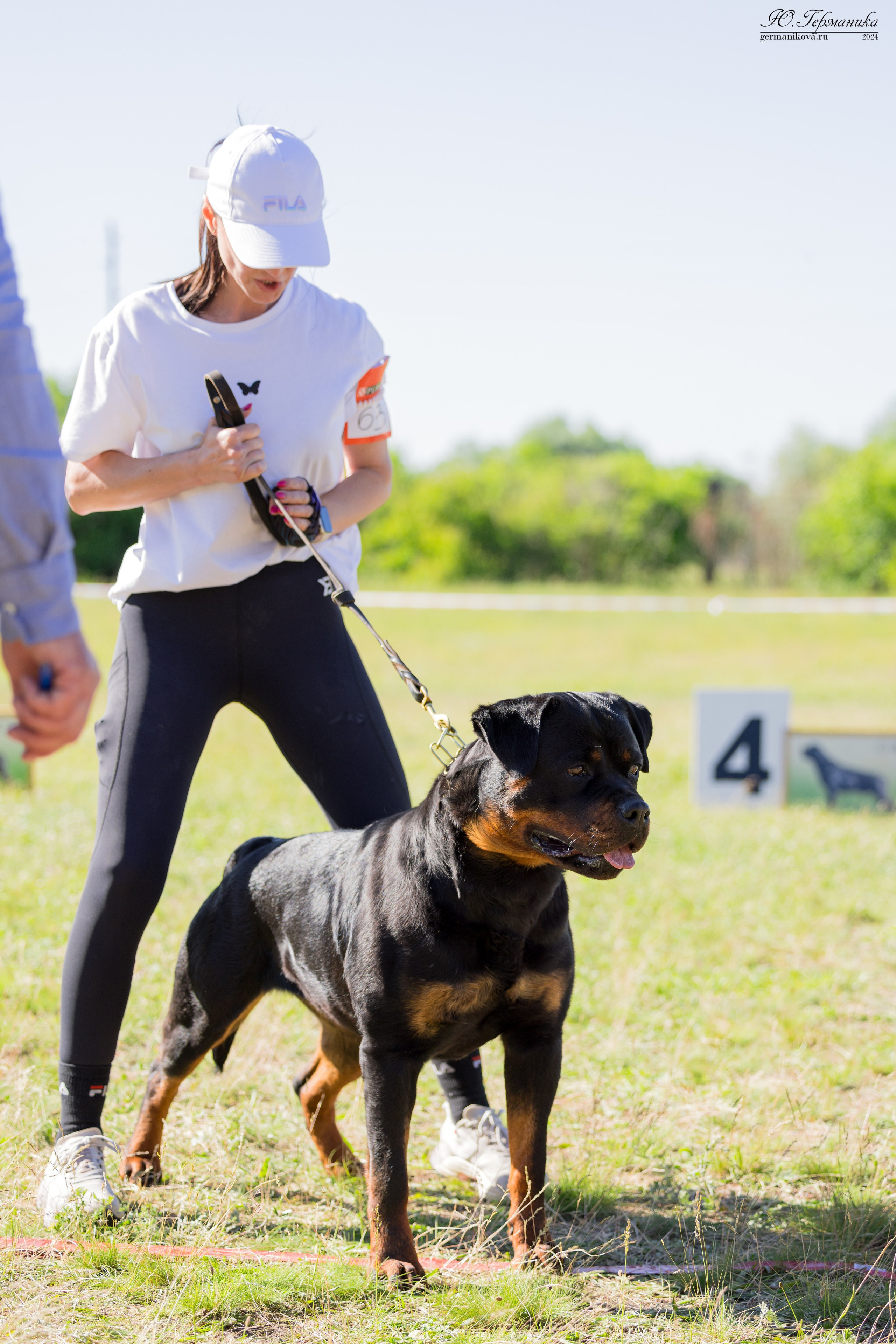 Воронеж моно ротвейлеров 25-26.05.2024. Фотограф-анималист Юлия Германика