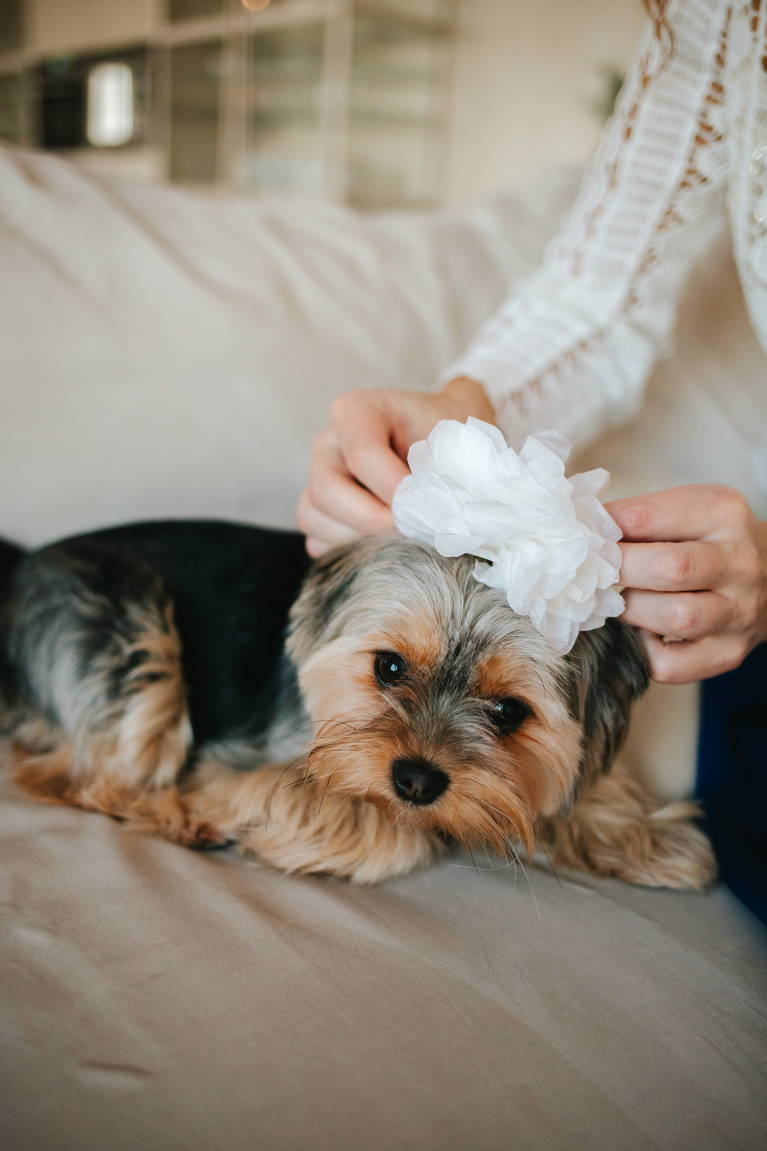 Артур, Оля и Серёжа. Семейный lifestyle фотограф в Санкт-Петербурге Людмила Пахомова