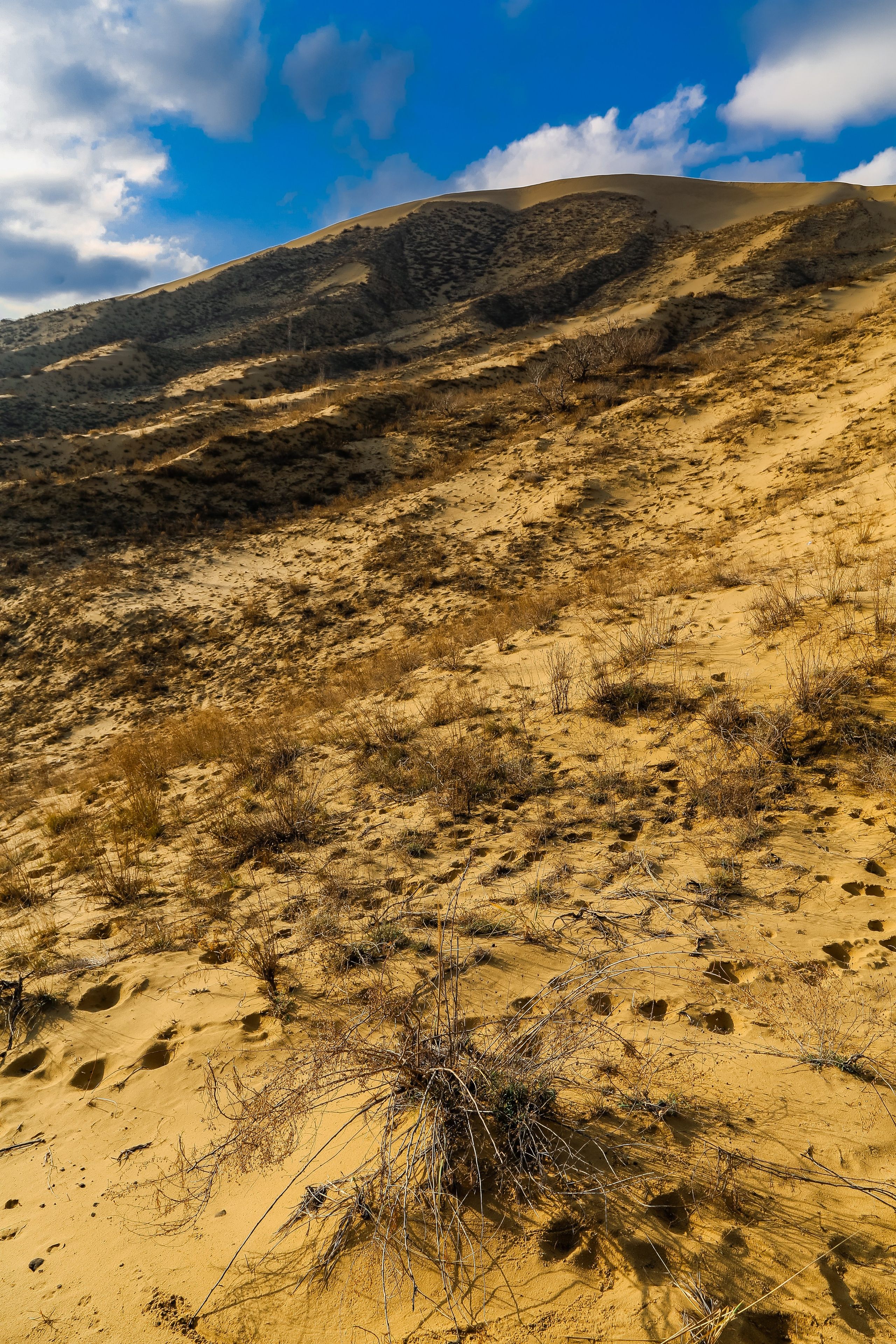 Кавказ: многоликий Дагестан. Дарья Письменюк / Darya Leitstern — фотограф, музыкант, журналист, путешественник