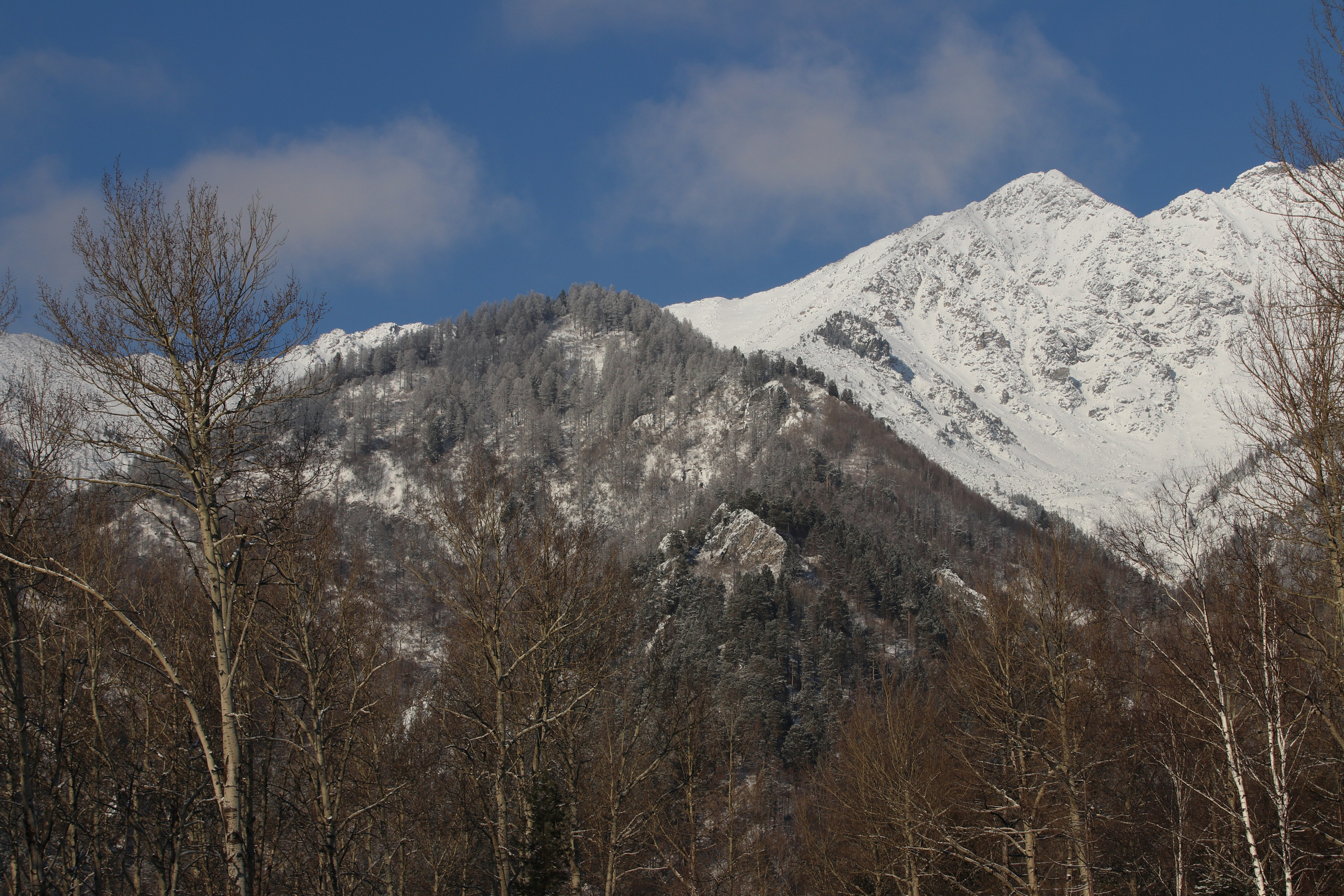 Аршан. Январь 2024. Путешественник-фотограф из Санкт-Петербурга Татьяна Свистулина