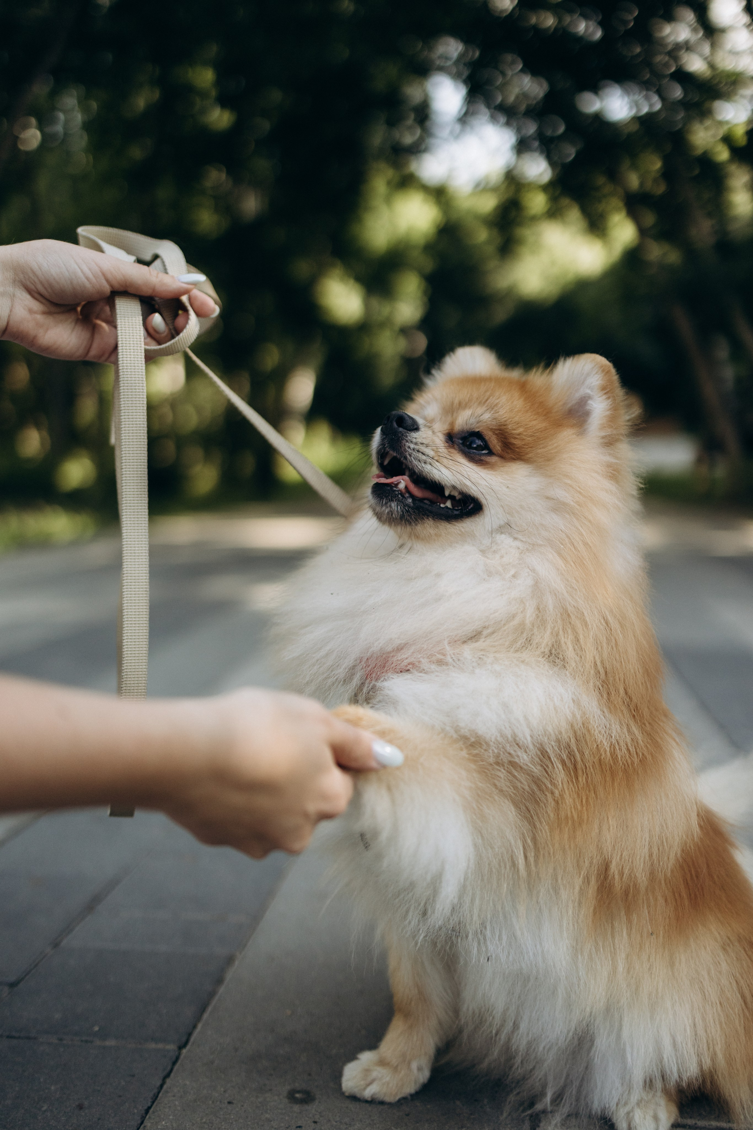 Daria. Фотограф Барнаул Надежда Киселева