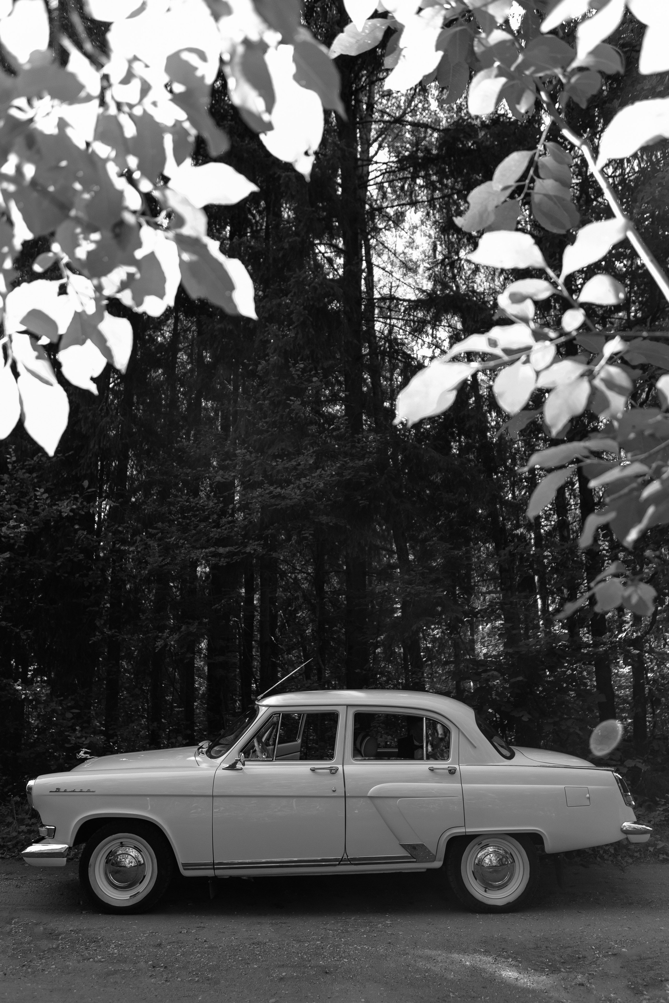 Свадьба Кирилла и Дарьи. Фотограф Кольчугино/Владимир/Москва Елизавета Иода