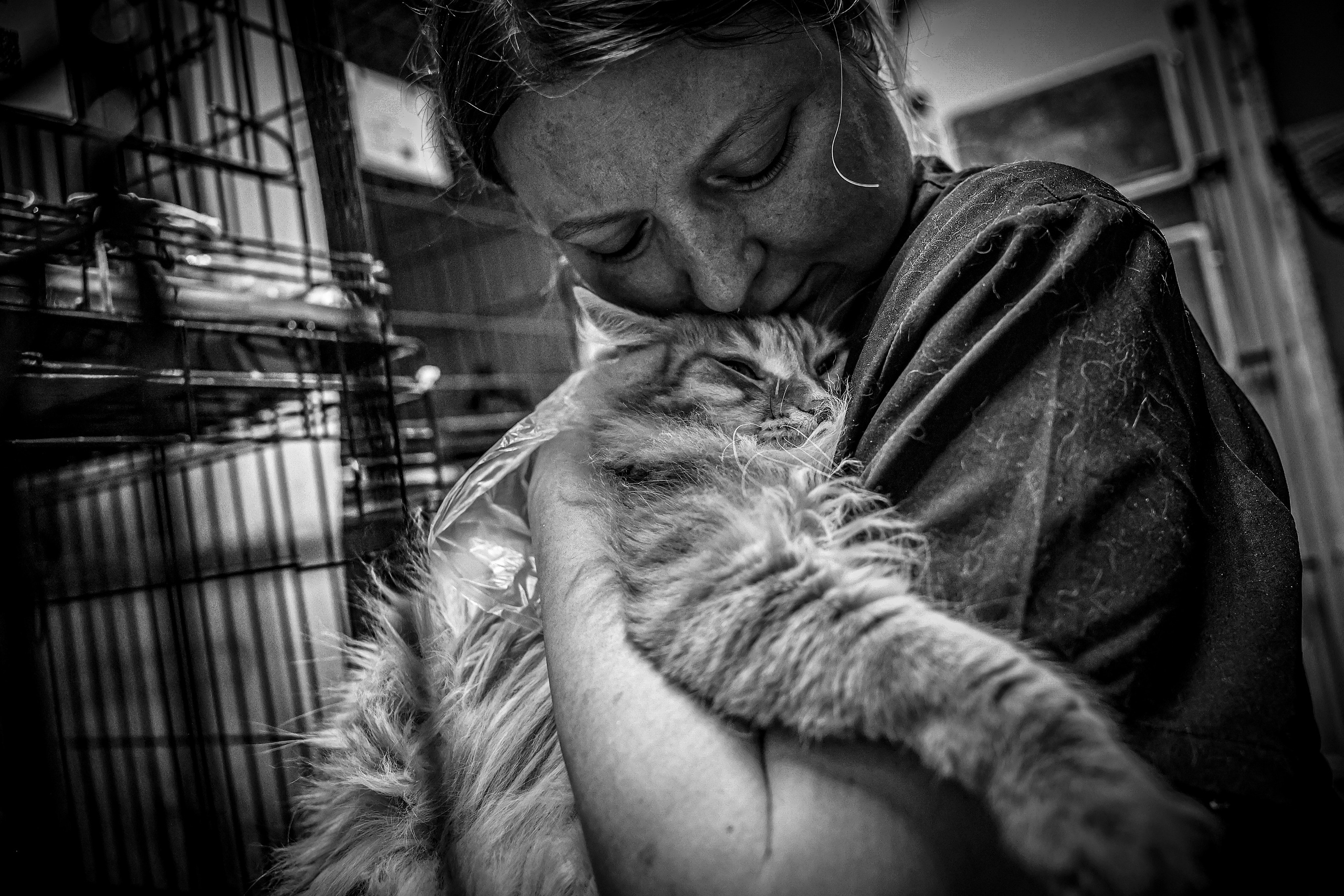 МУР КОША. Ekaterina Ageeva