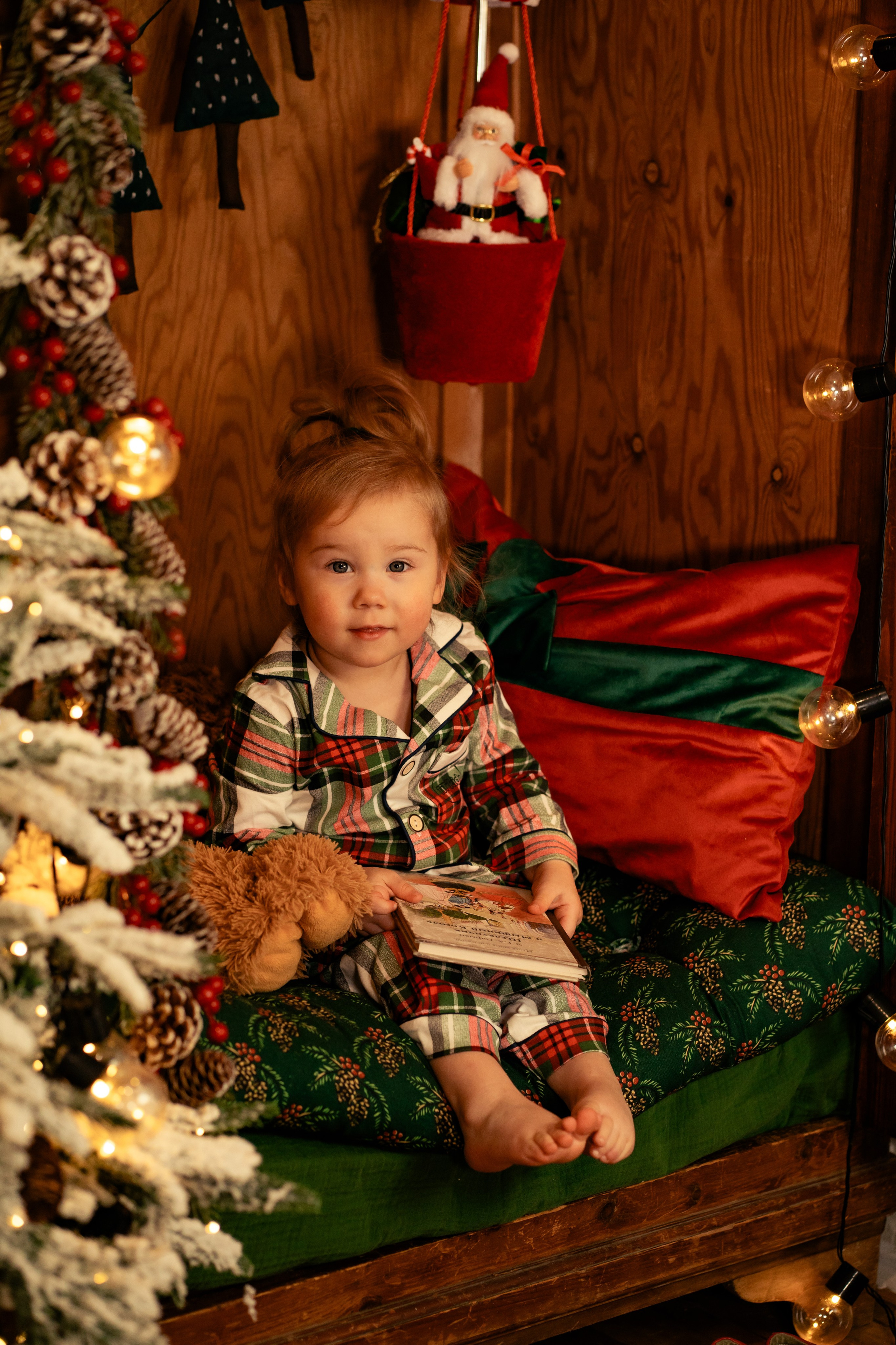 Фотодача «Калина» зима/новый год. Мои работы