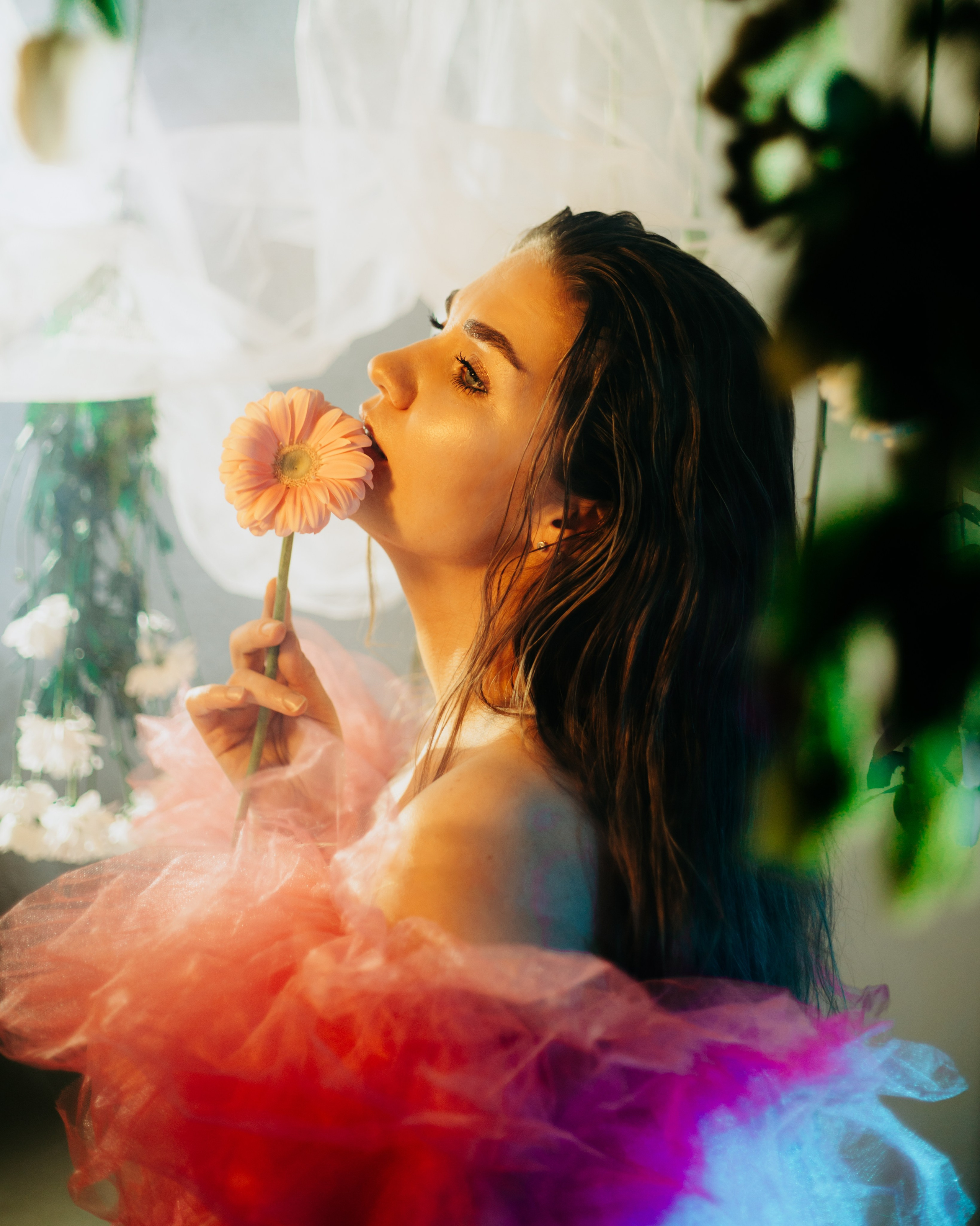 Flowers. Sun Betty — кинофотограф Элизабет