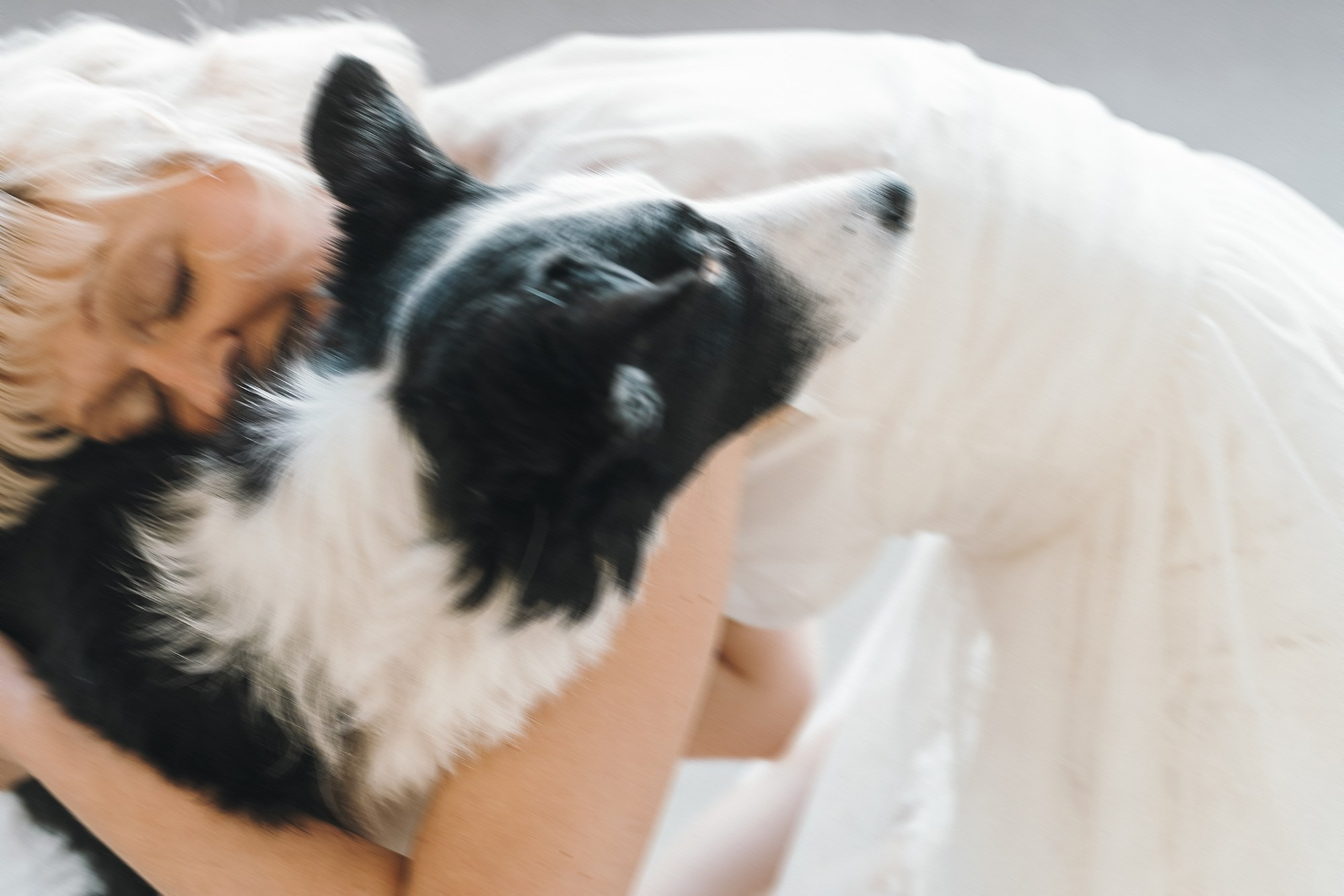 Таня, Марта и Клипса. Фотограф анималист в Москве и Санкт-Петербурге Свиридова Анна