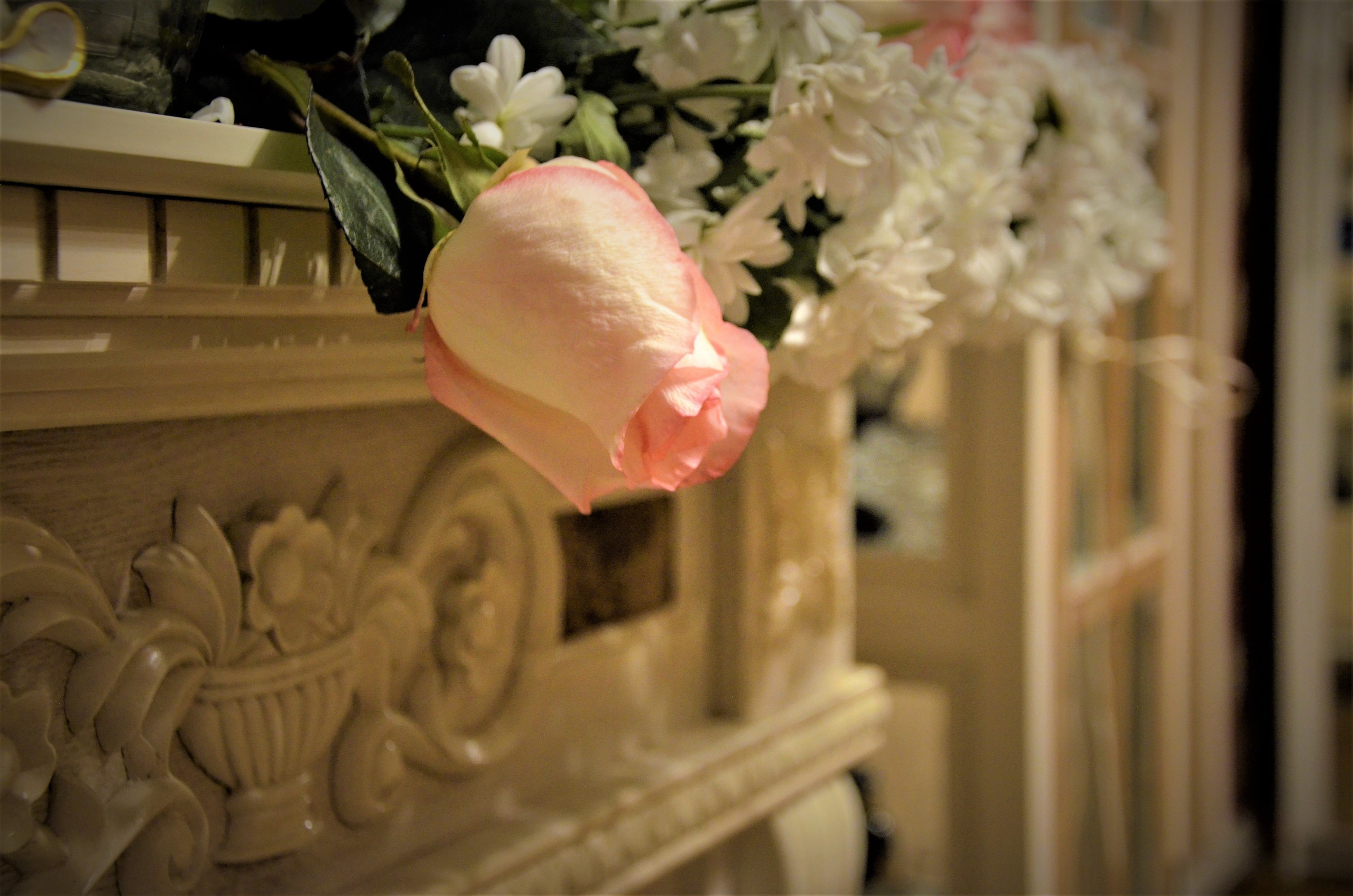 Студийное фото. Семейный фотограф