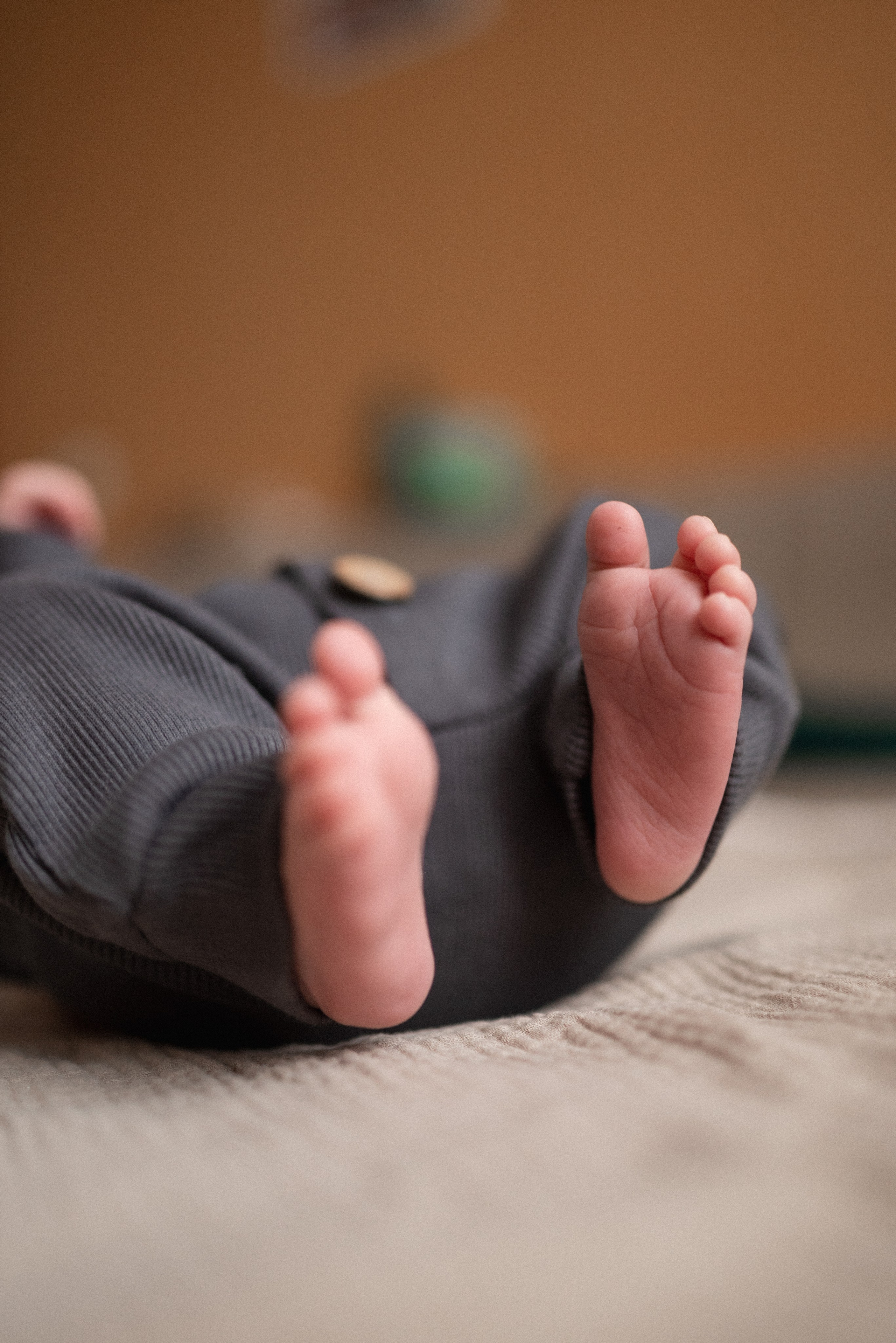 Мирон. Семейный фотограф Ирина Сгибнева