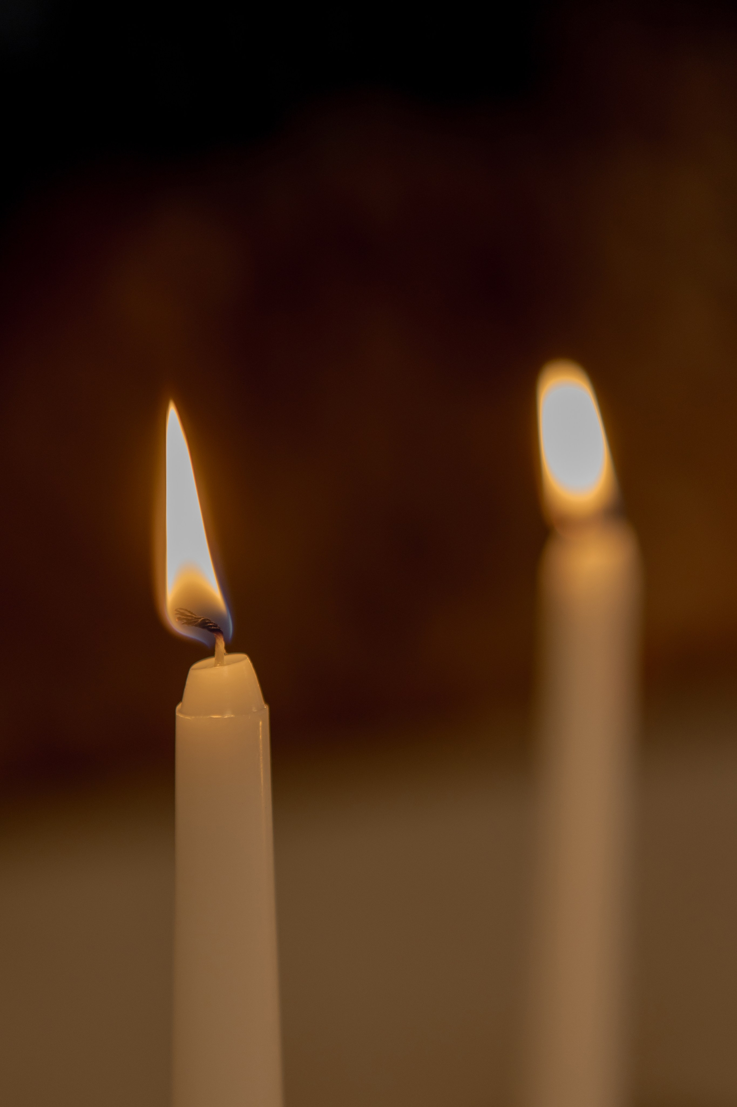 Максим и Яна. Свадебный фотограф Ксения Трухина в Нижнем Новгороде и Москве