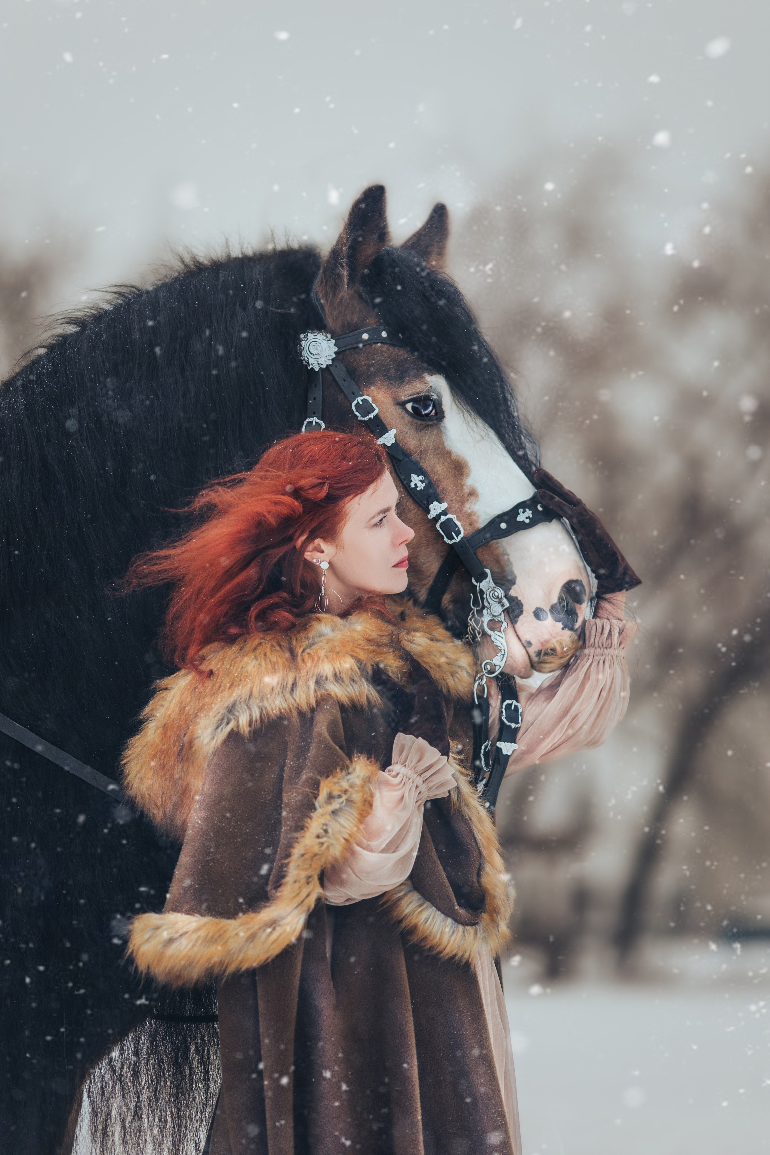 Фотосессии с лошадьми. Главная