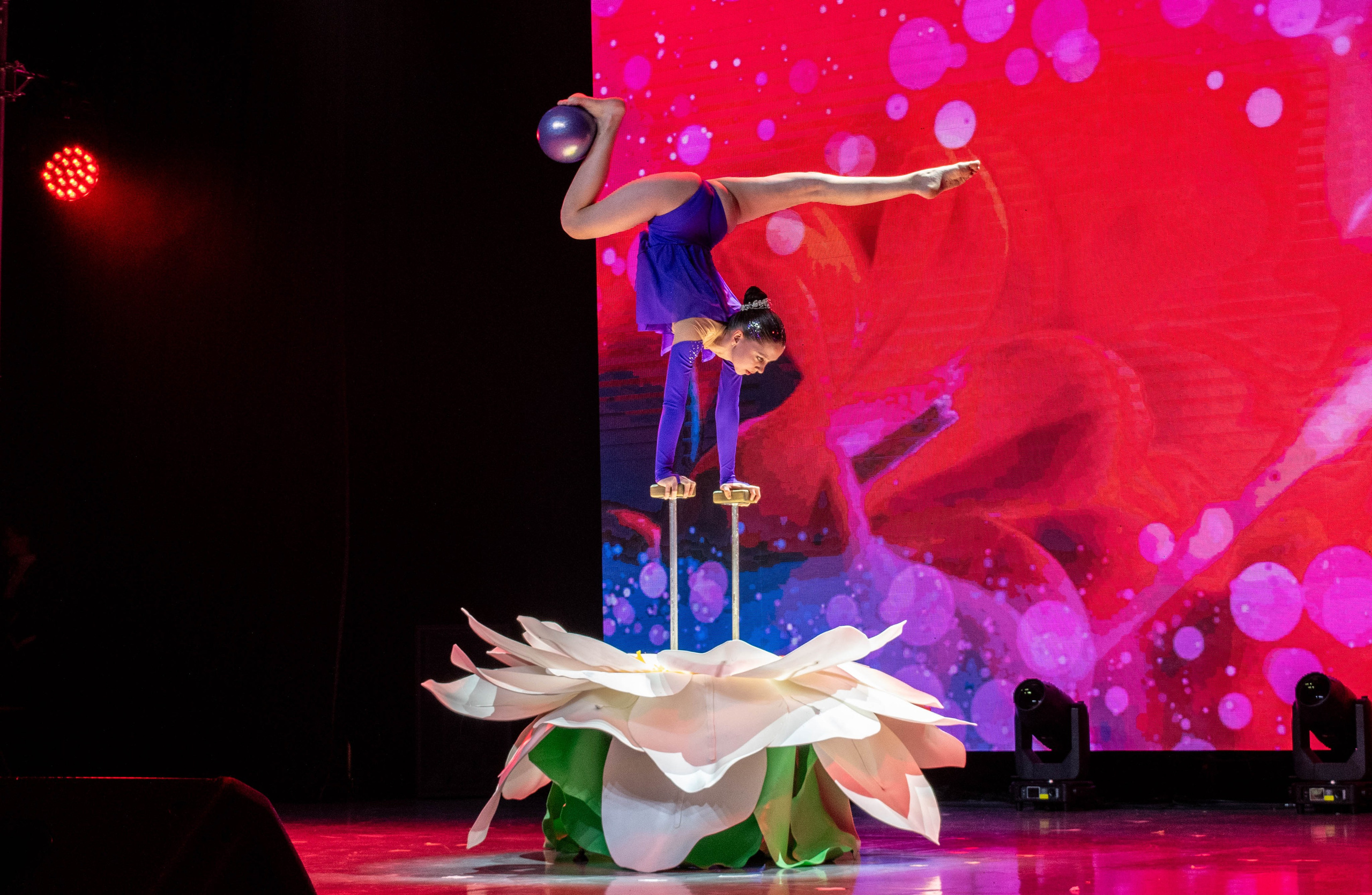 «ВЫСОТА» 2025. Репортажный фотограф во Владивостоке Анастасия Кострова