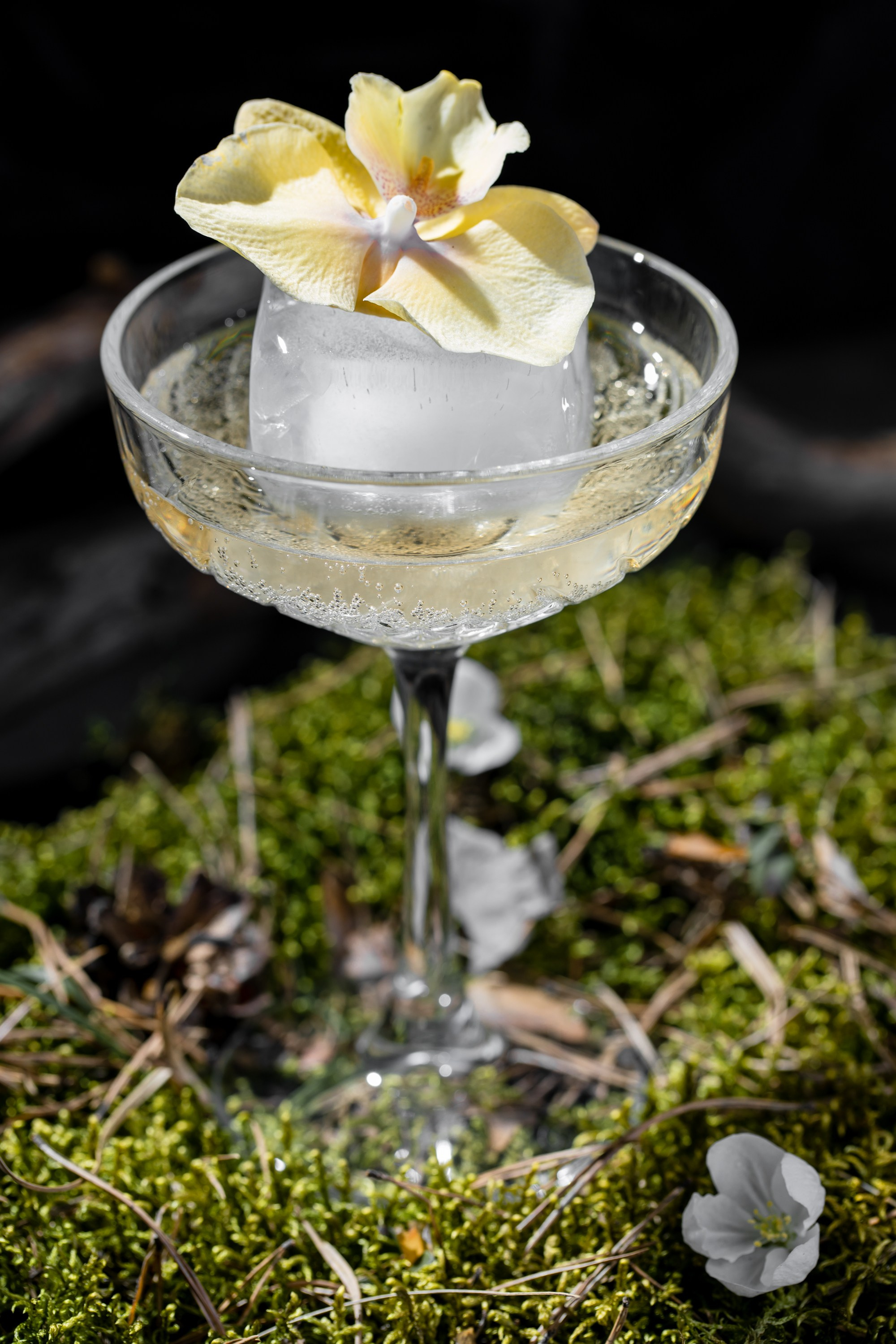 Еда. Свадебный и репортажной фотограф Дмитрий Гаврилов