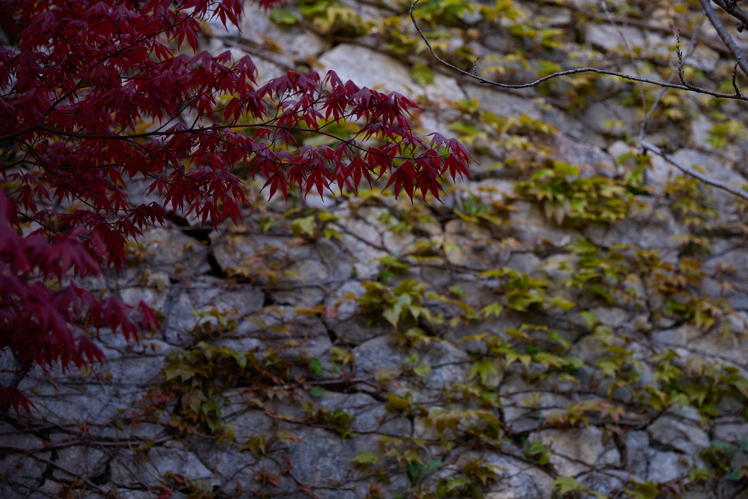 КРЫМ. Репортажный и мужской фотограф в Краснодаре. Фотограф в Краснодаре