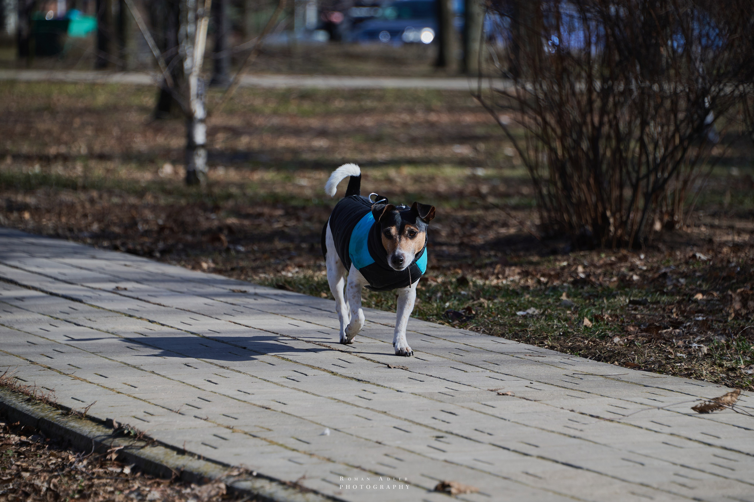Донецк. Февраль 2024. Фотограф Роман Адлер