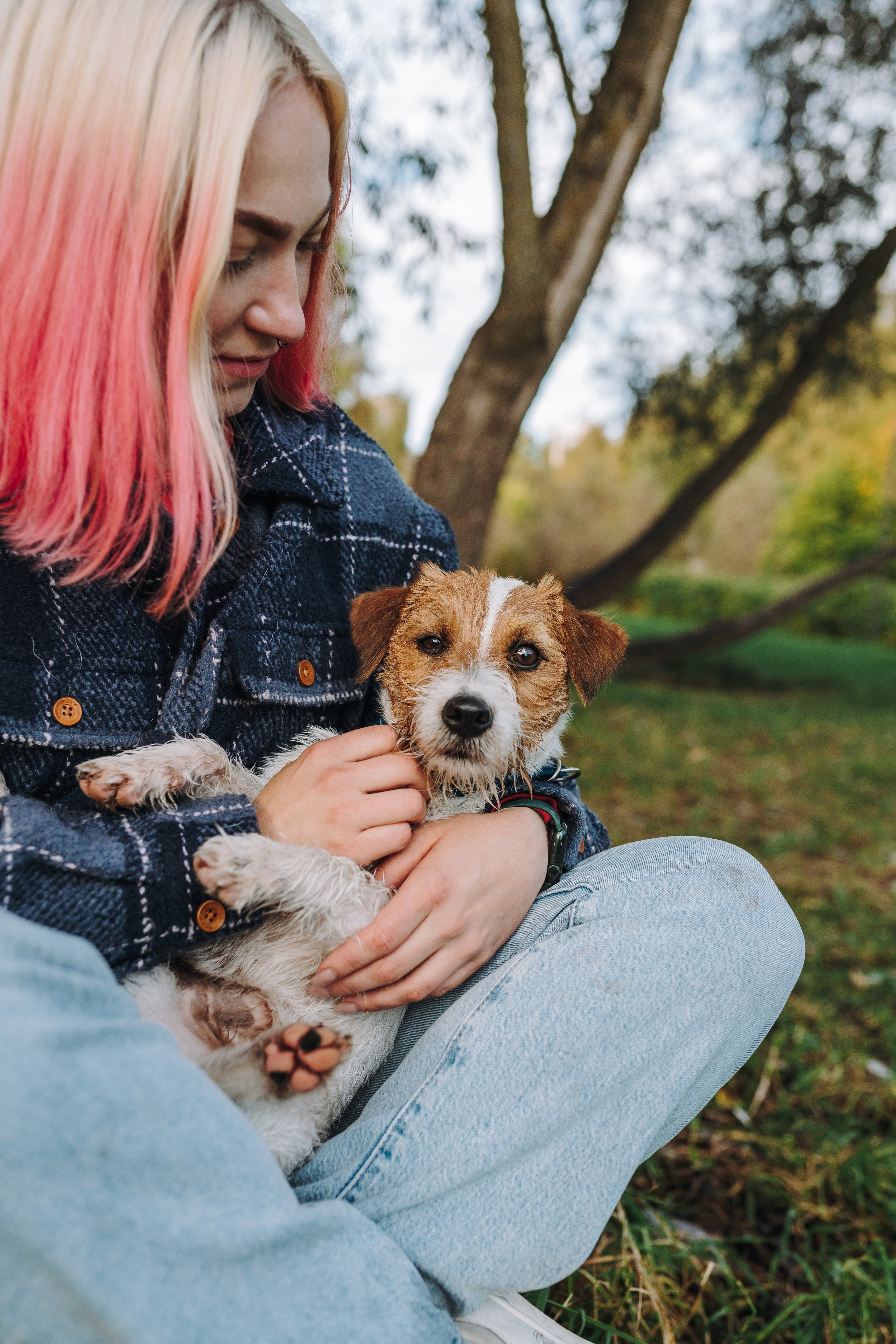 Фотосессия с маленькой собакой Спб. Фотограф анималист в Спб недорого Олеся Майорова