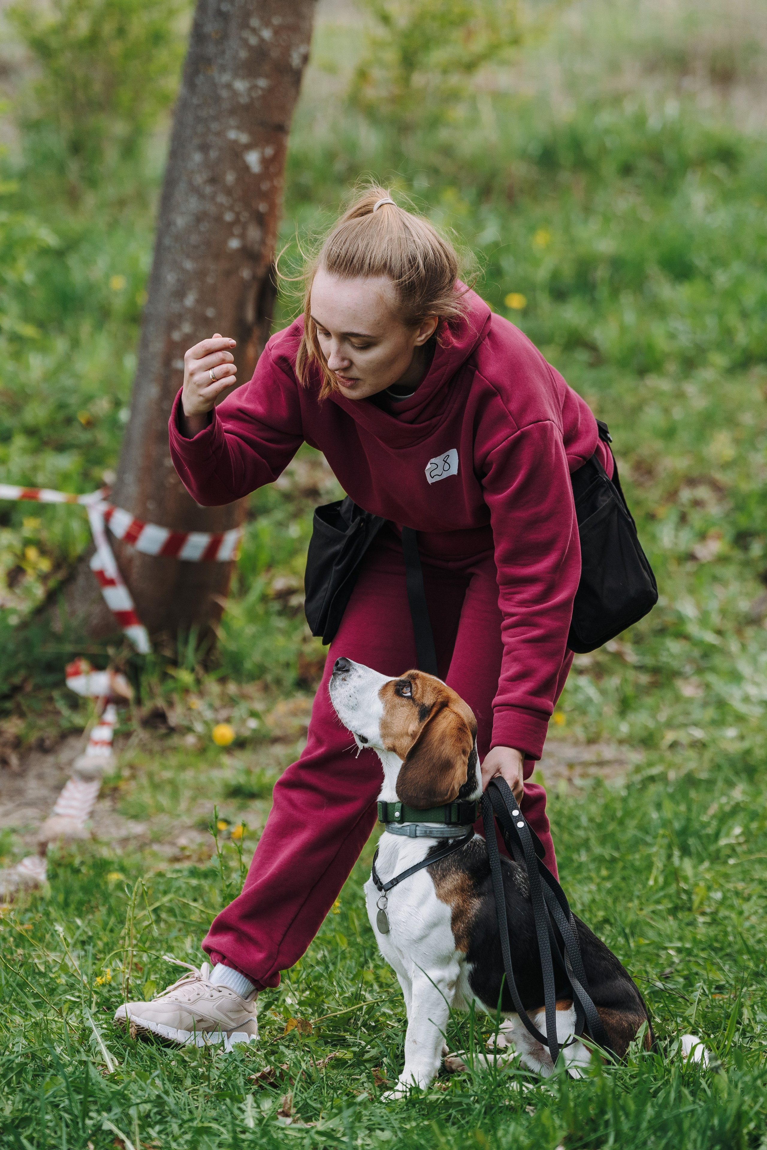 Соревнования по ноузворку в Лосево. Фотограф анималист в Спб недорого Олеся Майорова