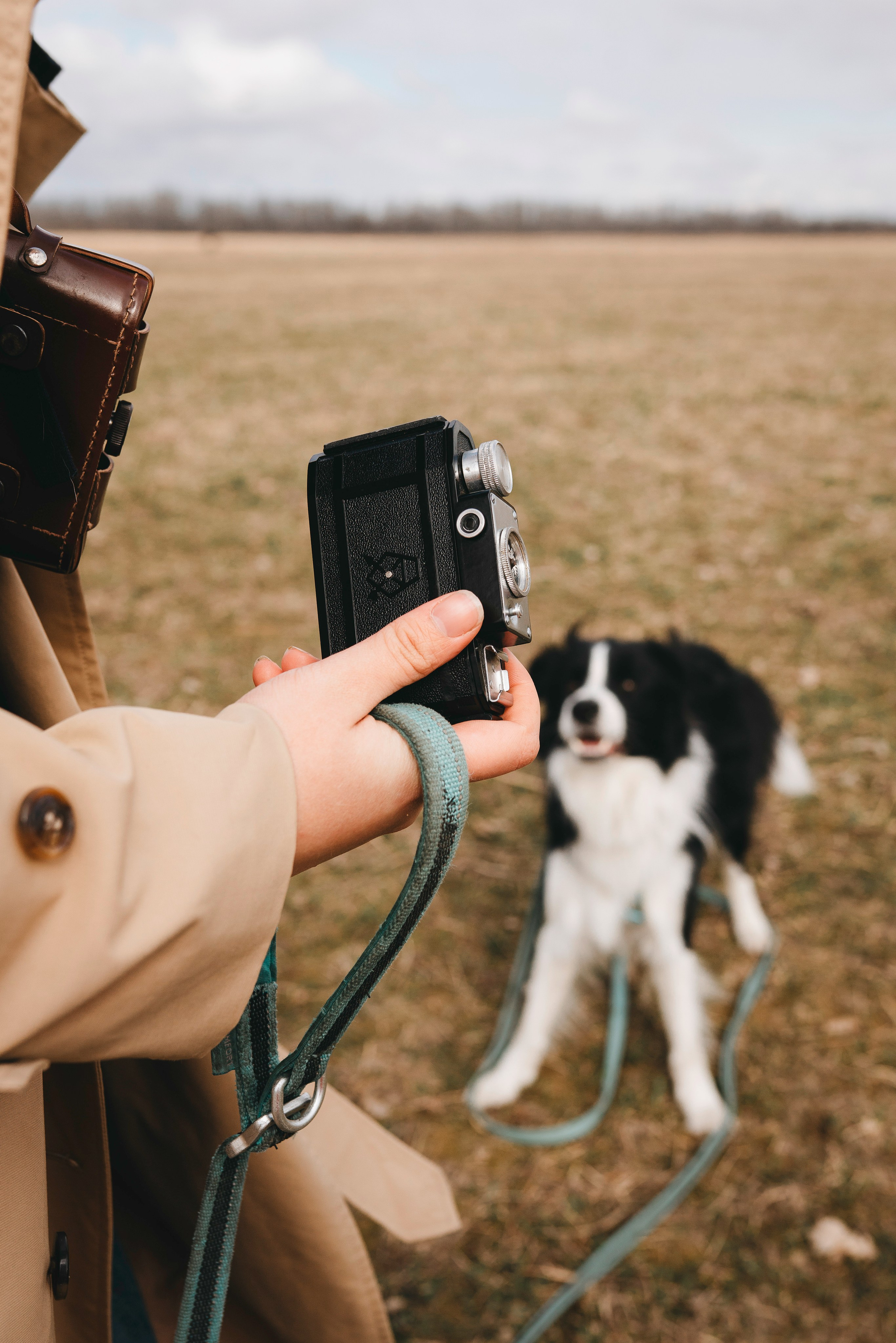 Нил и Алёна. Фотограф анималист в Спб недорого Олеся Майорова