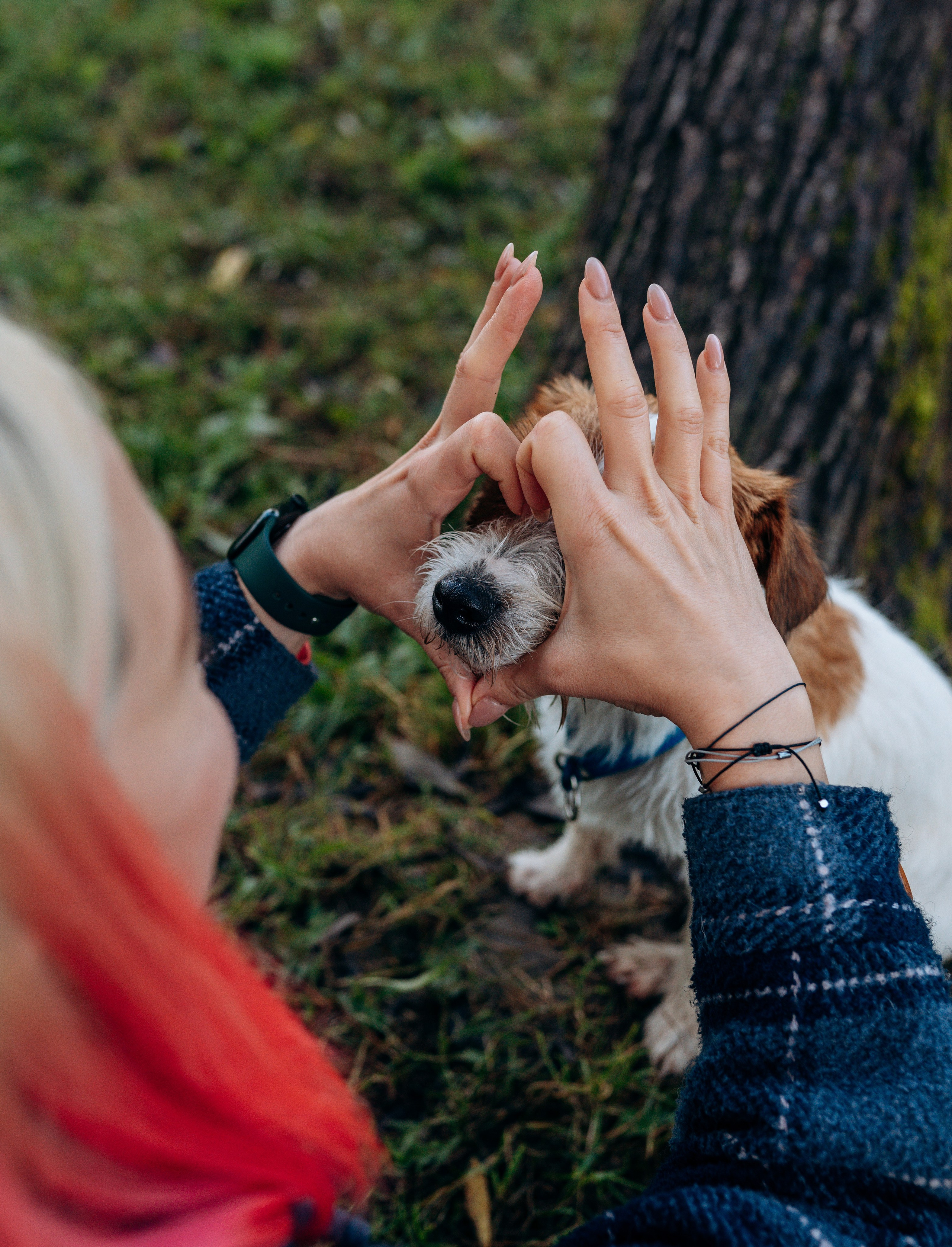 Фотосессия с маленькой собакой Спб. Фотограф анималист в Спб недорого Олеся Майорова