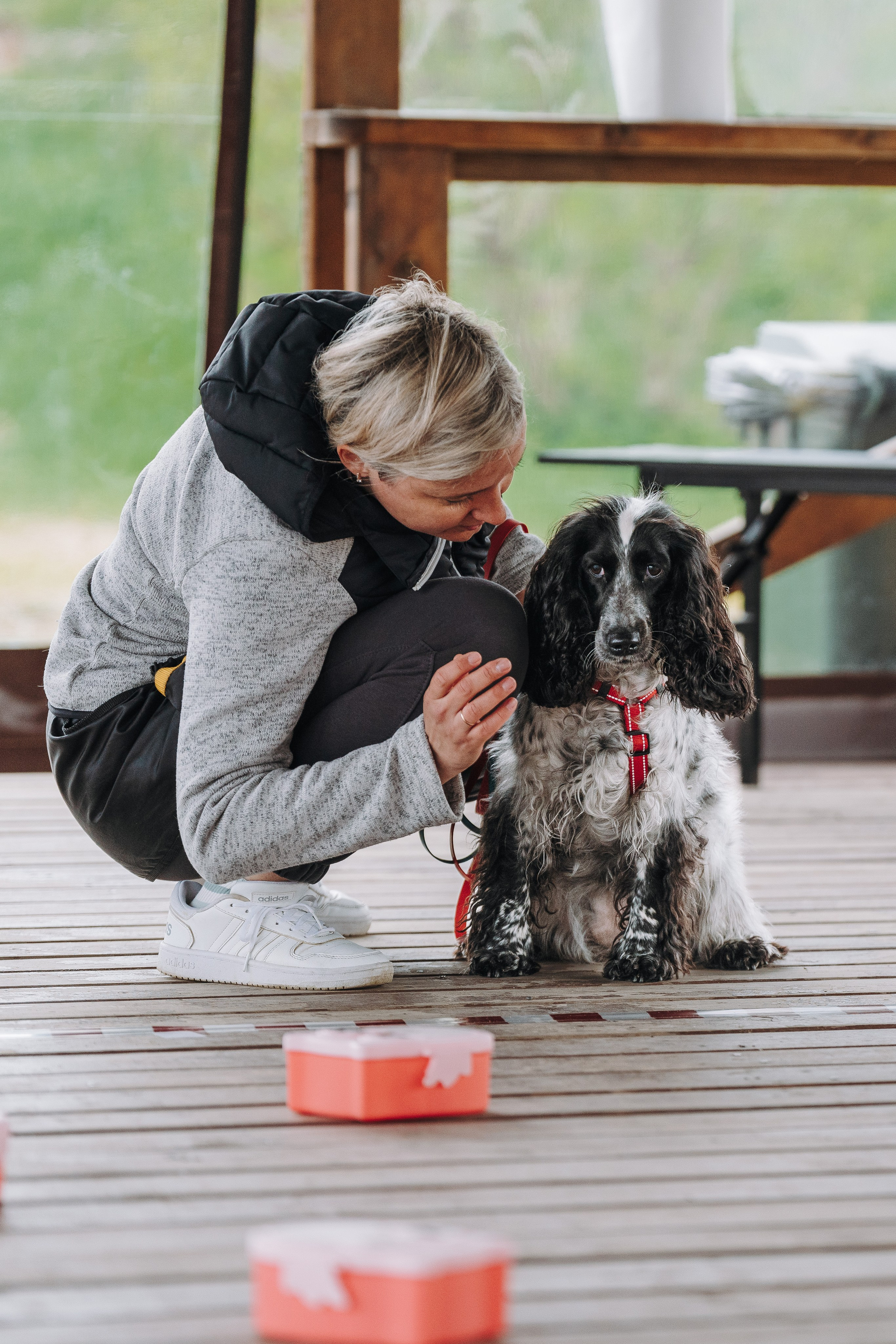 Соревнования по ноузворку в Лосево. Фотограф анималист в Спб недорого Олеся Майорова