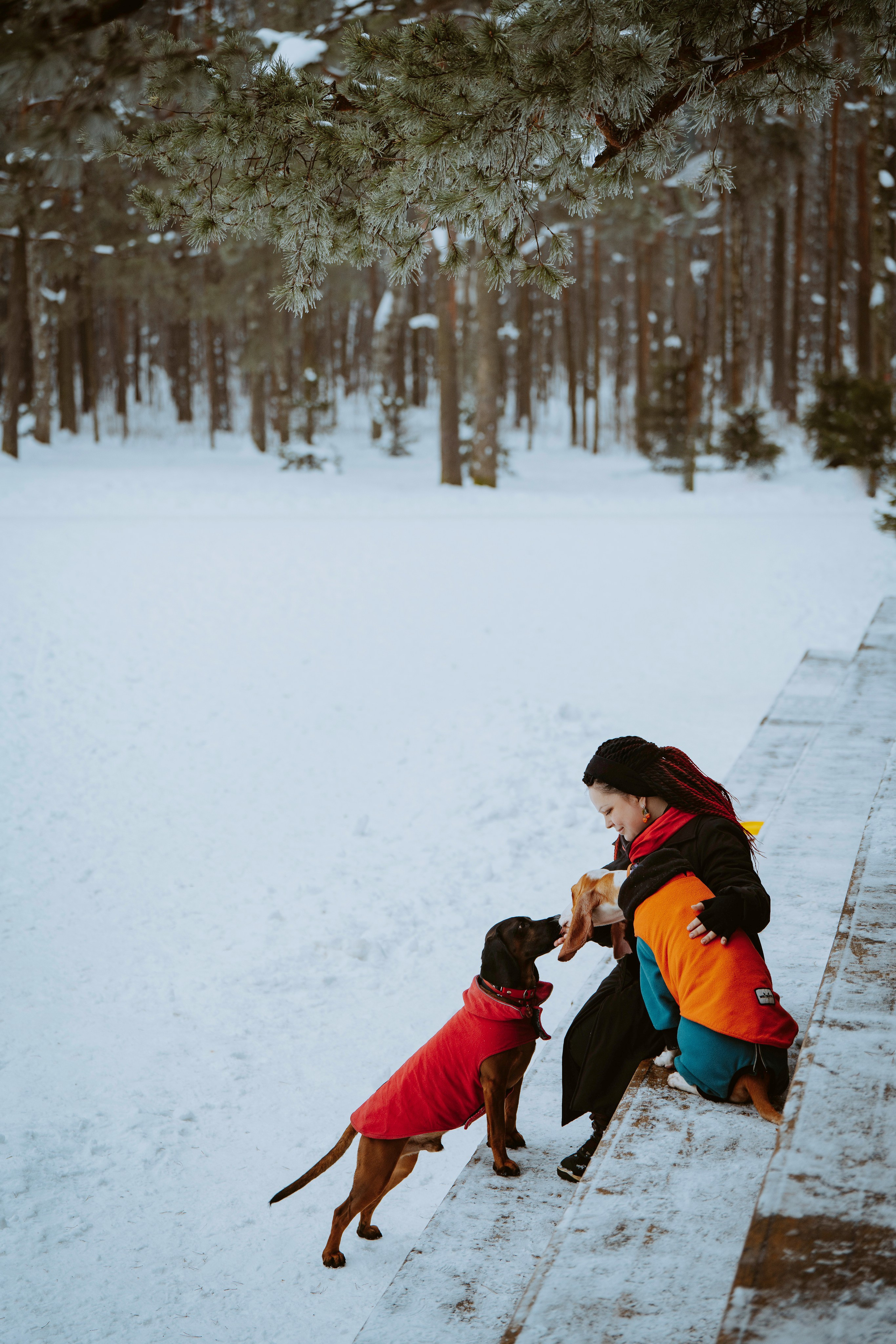 Ольга, Рора и Румпель. Фотограф анималист в Спб недорого Олеся Майорова