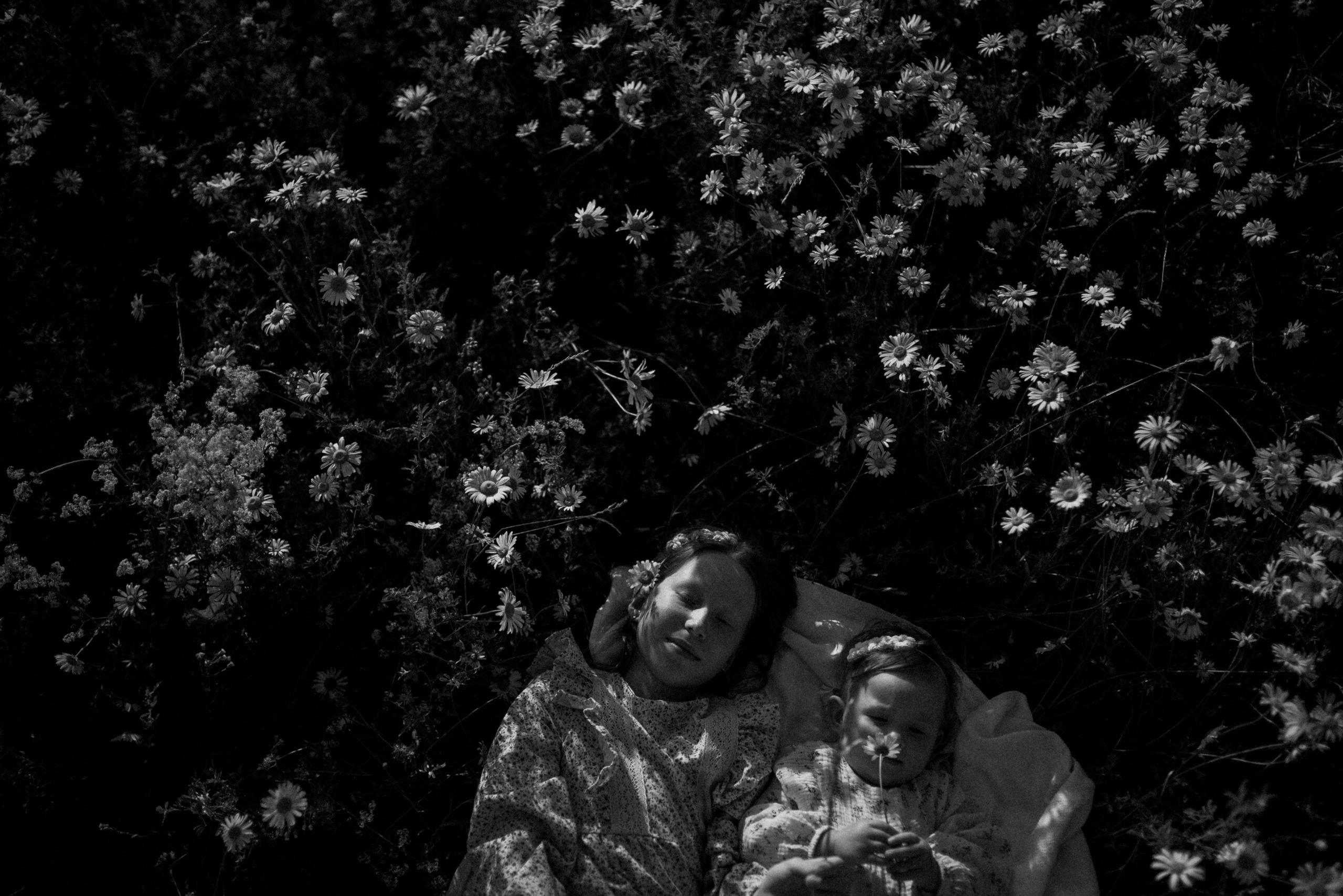 Ида, Мира и ромашки. Свадебный и семейный фотограф Кожевникова Лариса