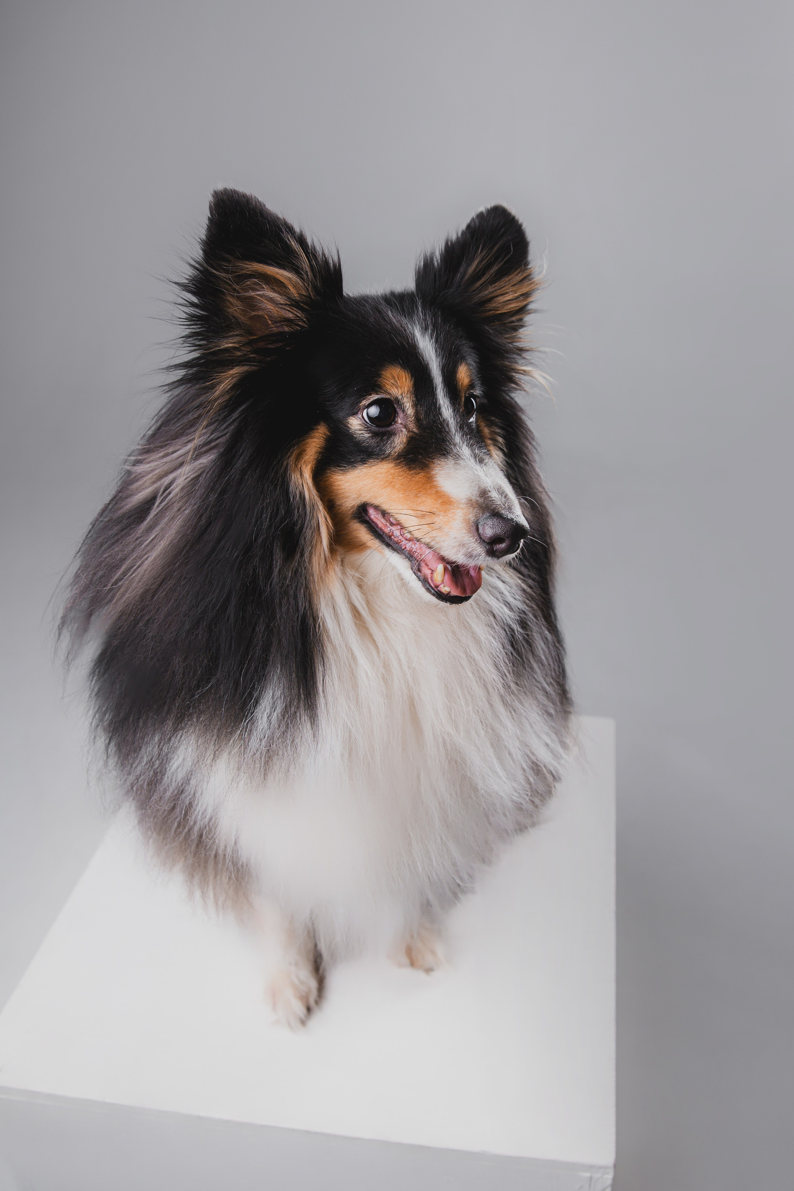 Воркшоп по импульсному свету