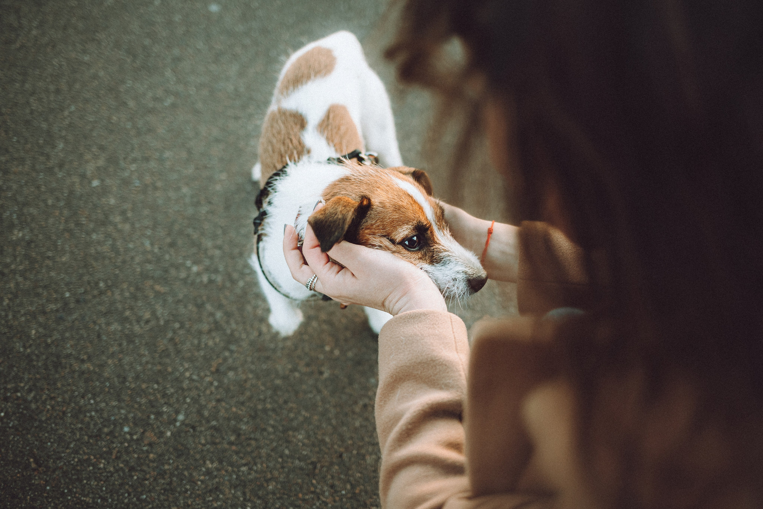 Лера и Рада