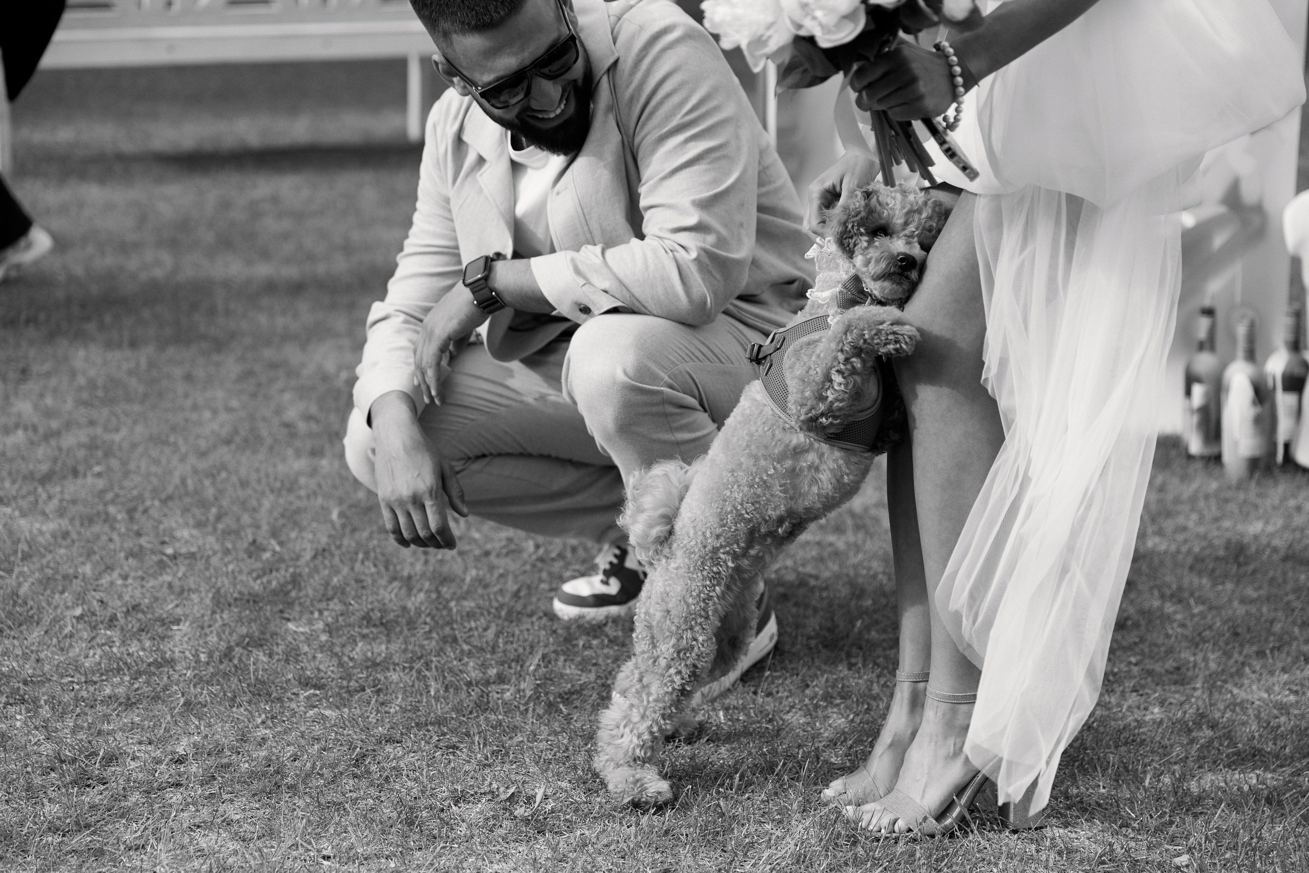 Посмотреть серию. Свадебный и семейный фотограф в Красноярске Тряпчев Павел