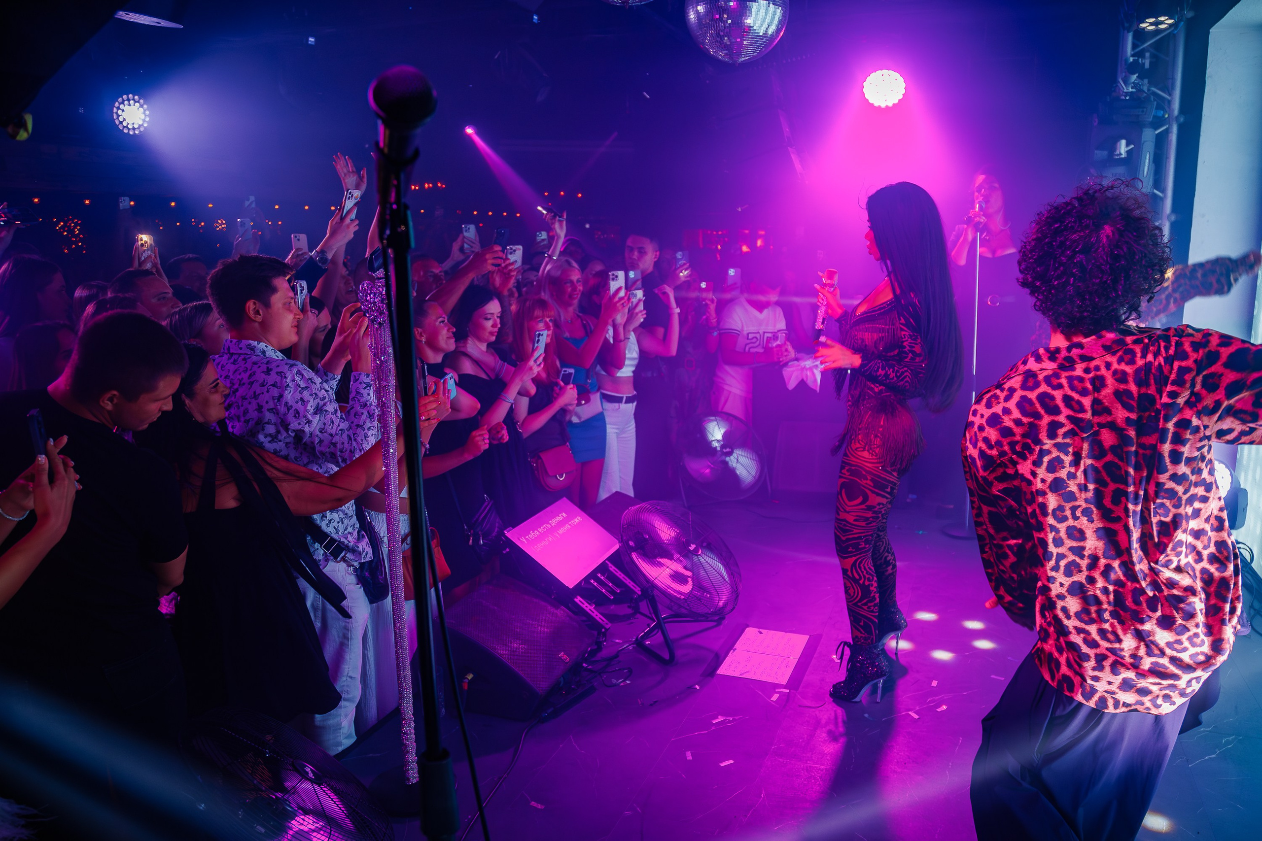 «Бьянка"_Чайка на пляже_Ялта_25.07.2025 г. Аминов Руслан | Фотограф