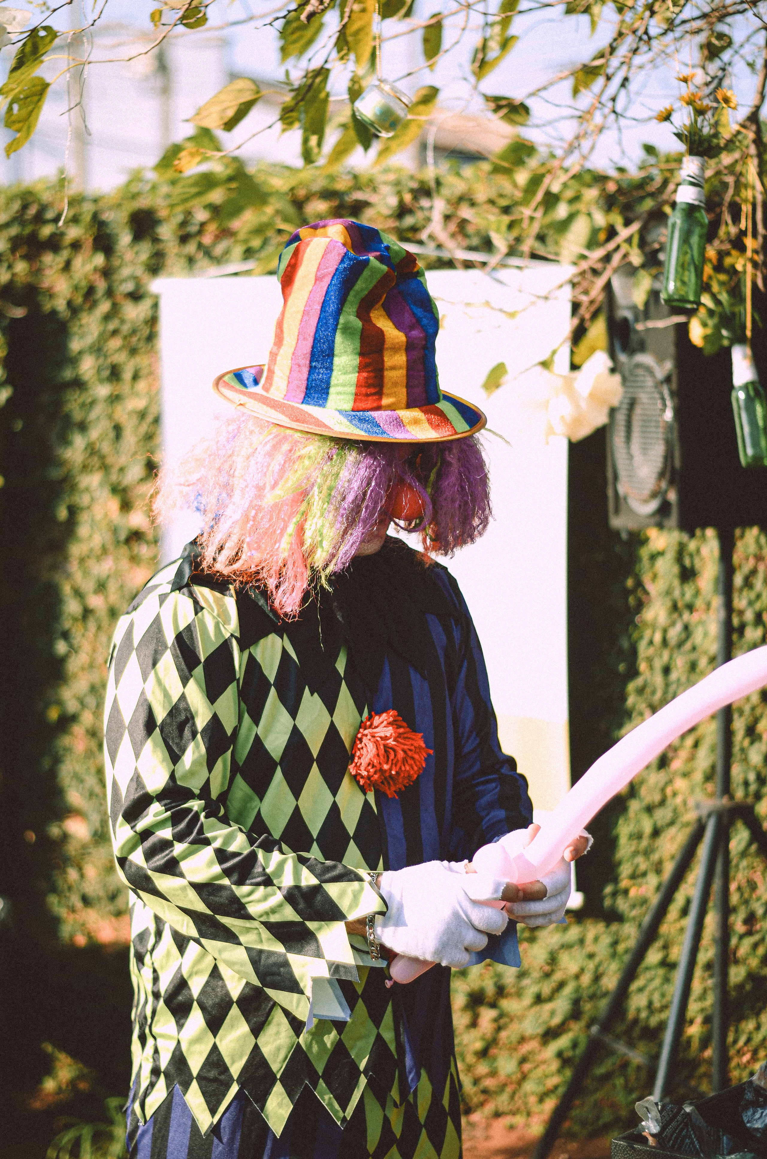 FEST.ART. Fotógrafo | Sessão de fotos