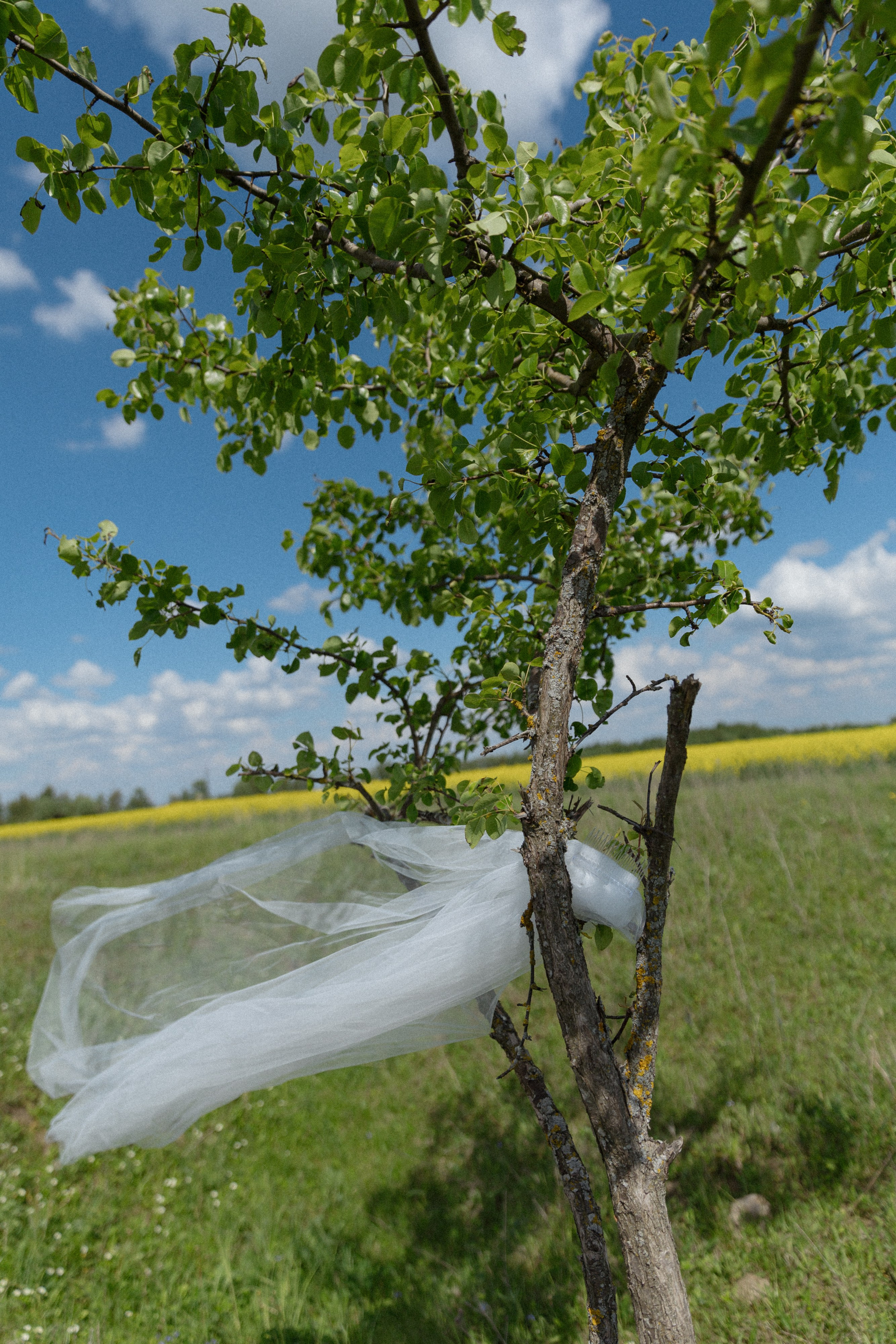 Wedding day Александр & Дарья. Свадебный фотограф Колесников Антон