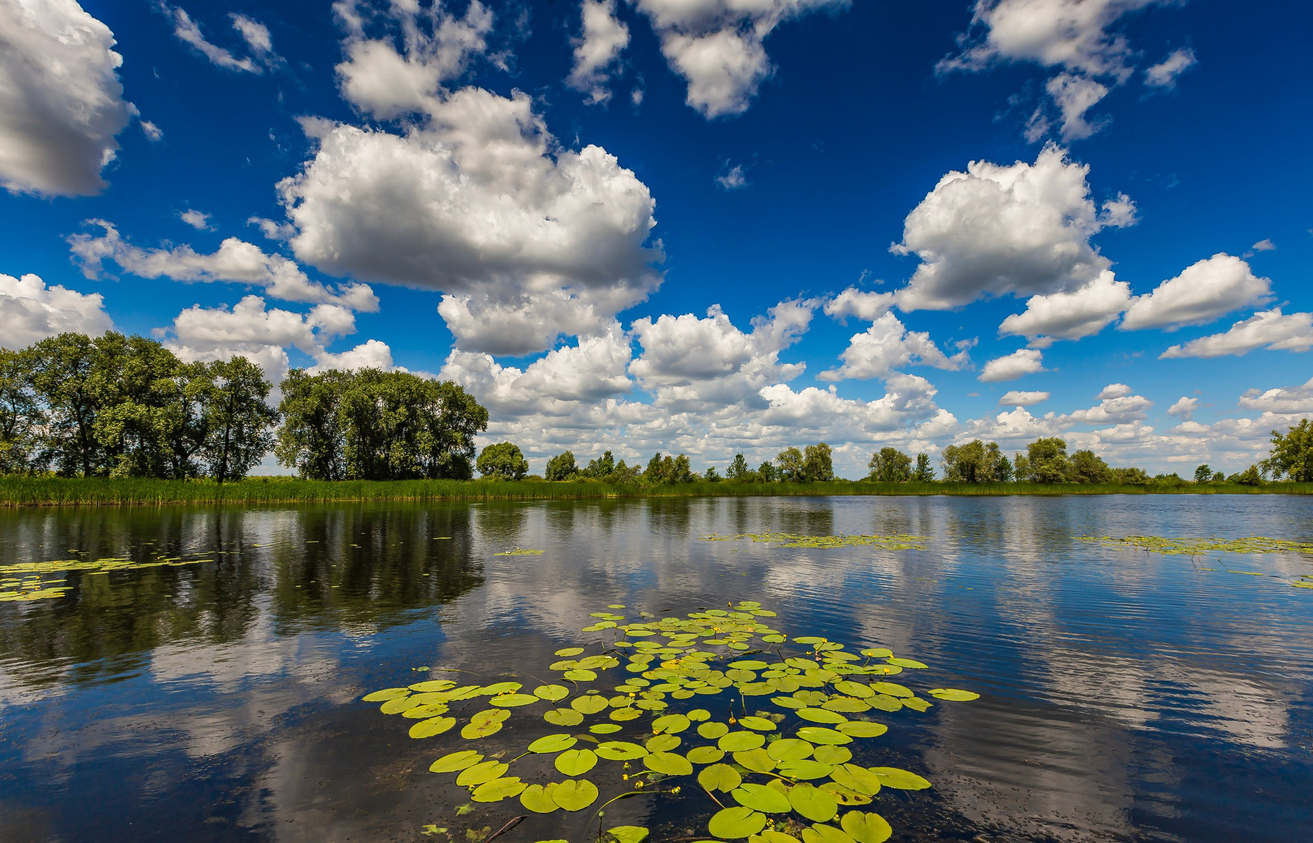 Природа. Макс По — фото и видео съемки любого формата