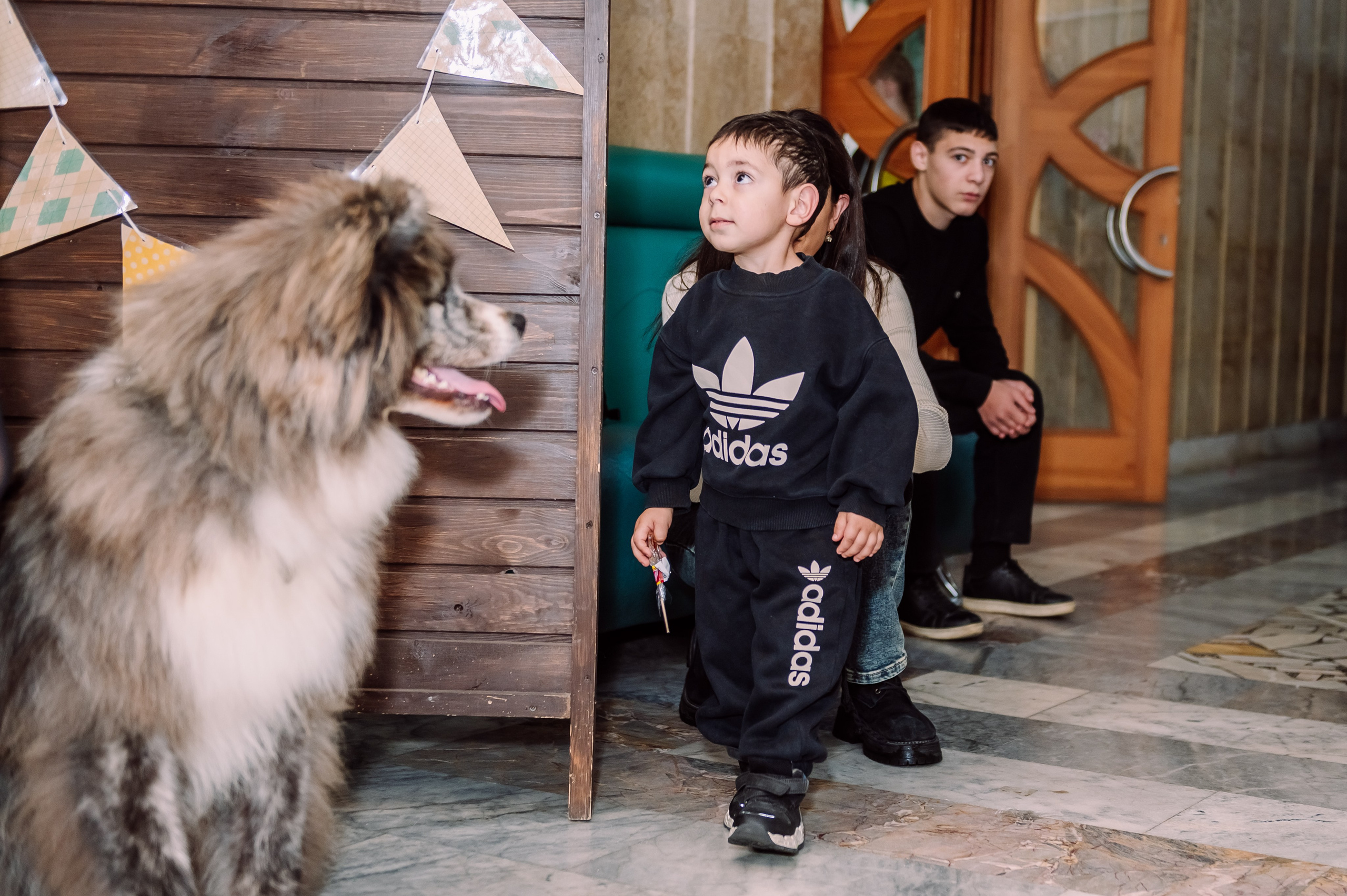 Благотворительный Фестиваль «По Дороге Доброты 2025». Детский фотограф, семейный фотограф и репортажи в Кемерово