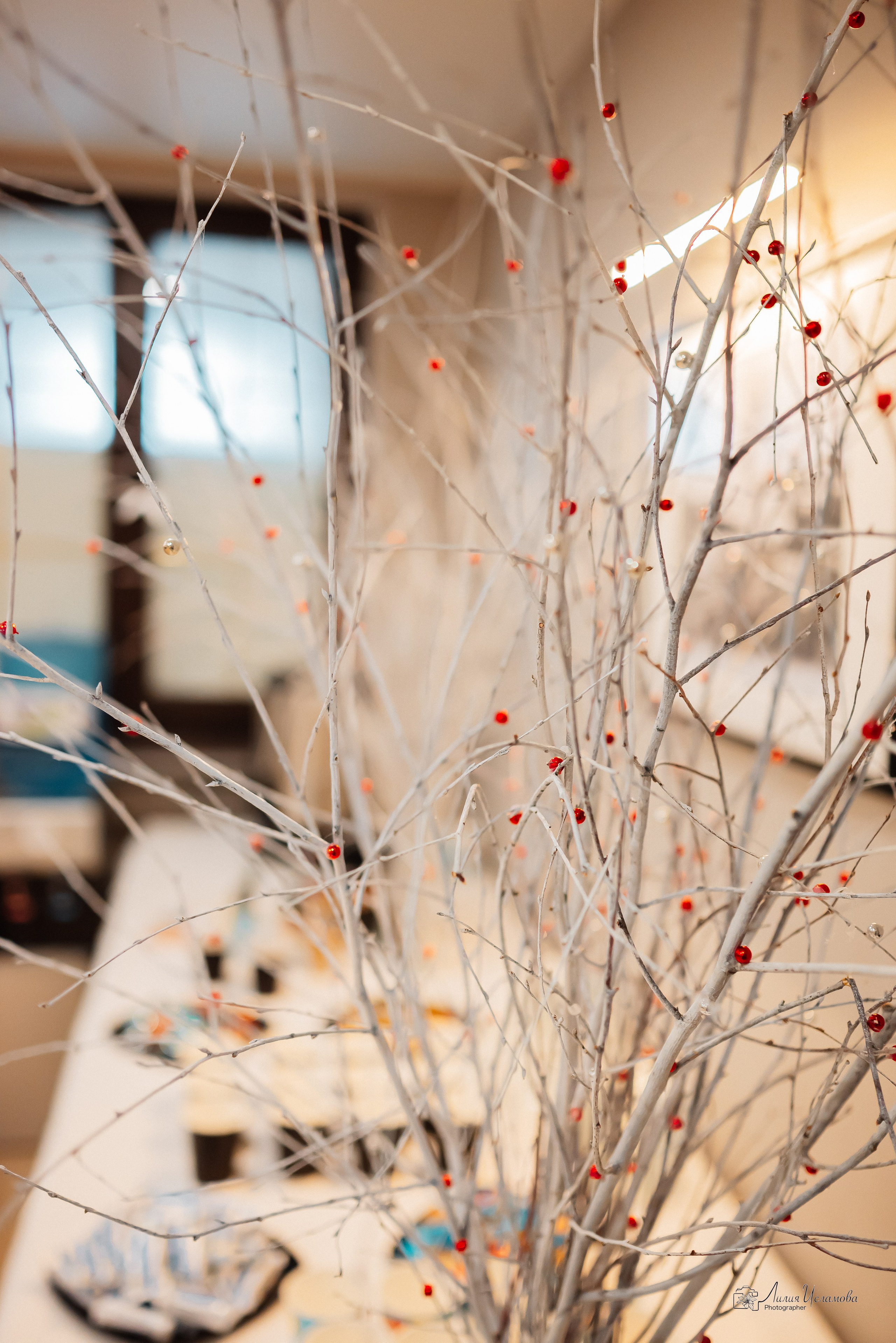 Код публичности. Фотограф Исламова Лилия, Смоленск