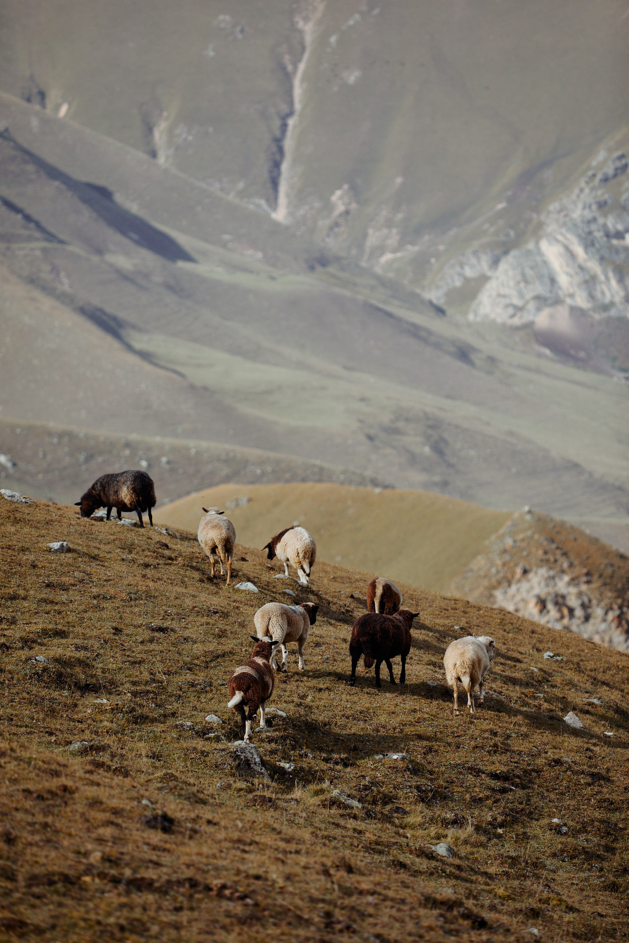 Озеро Гийбашкель. Фотограф Продюсер в горах КБР / Москва  Нальчик Горы
