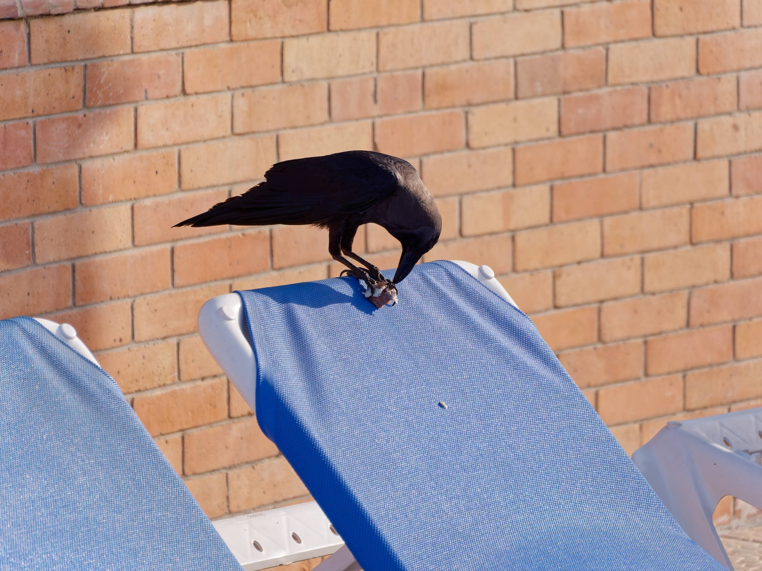 Шарм-эль-Шейх 2022 (2). Избранные фотографии