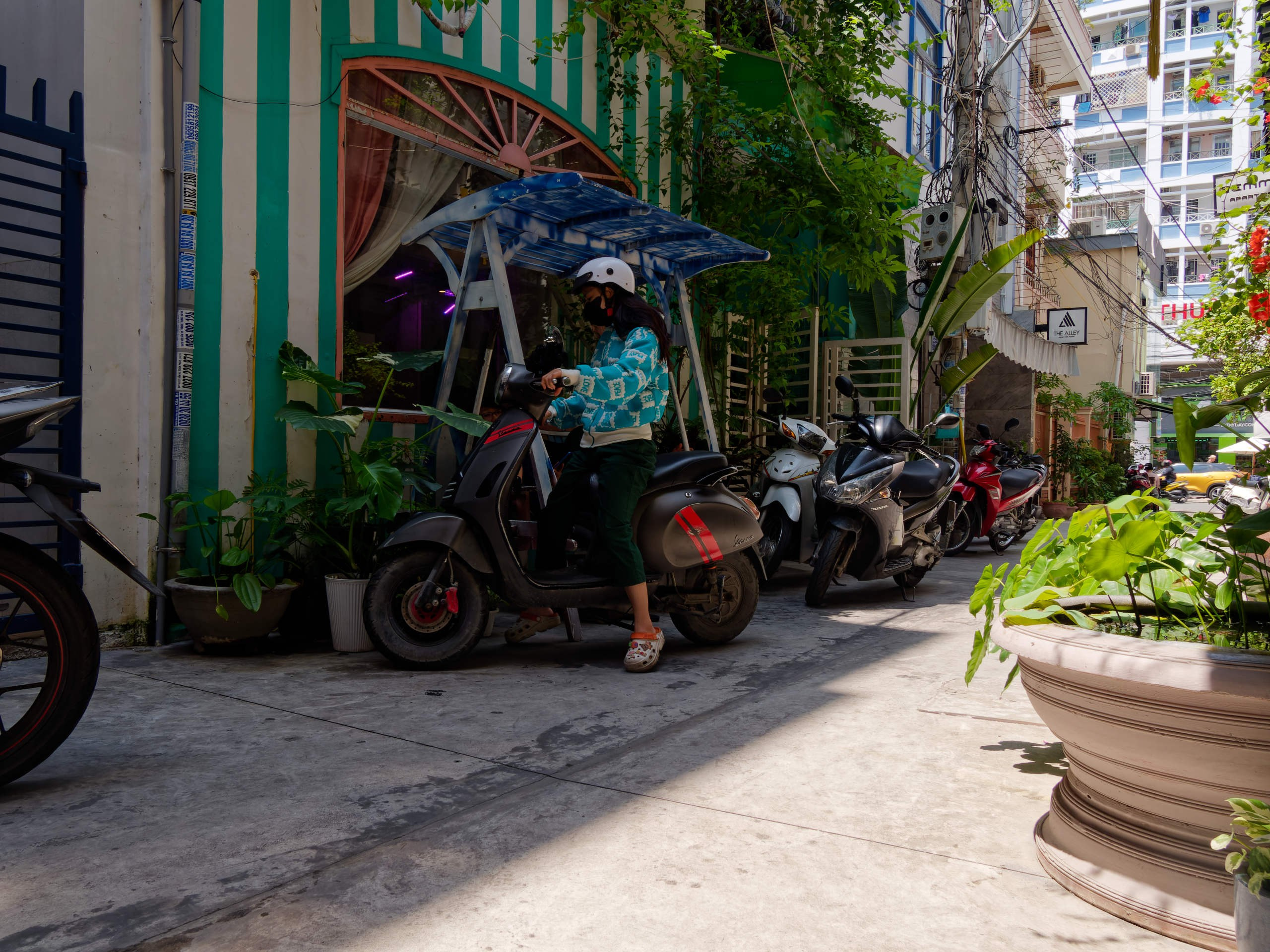 Нячанг 2025 (6). Избранные фотографии