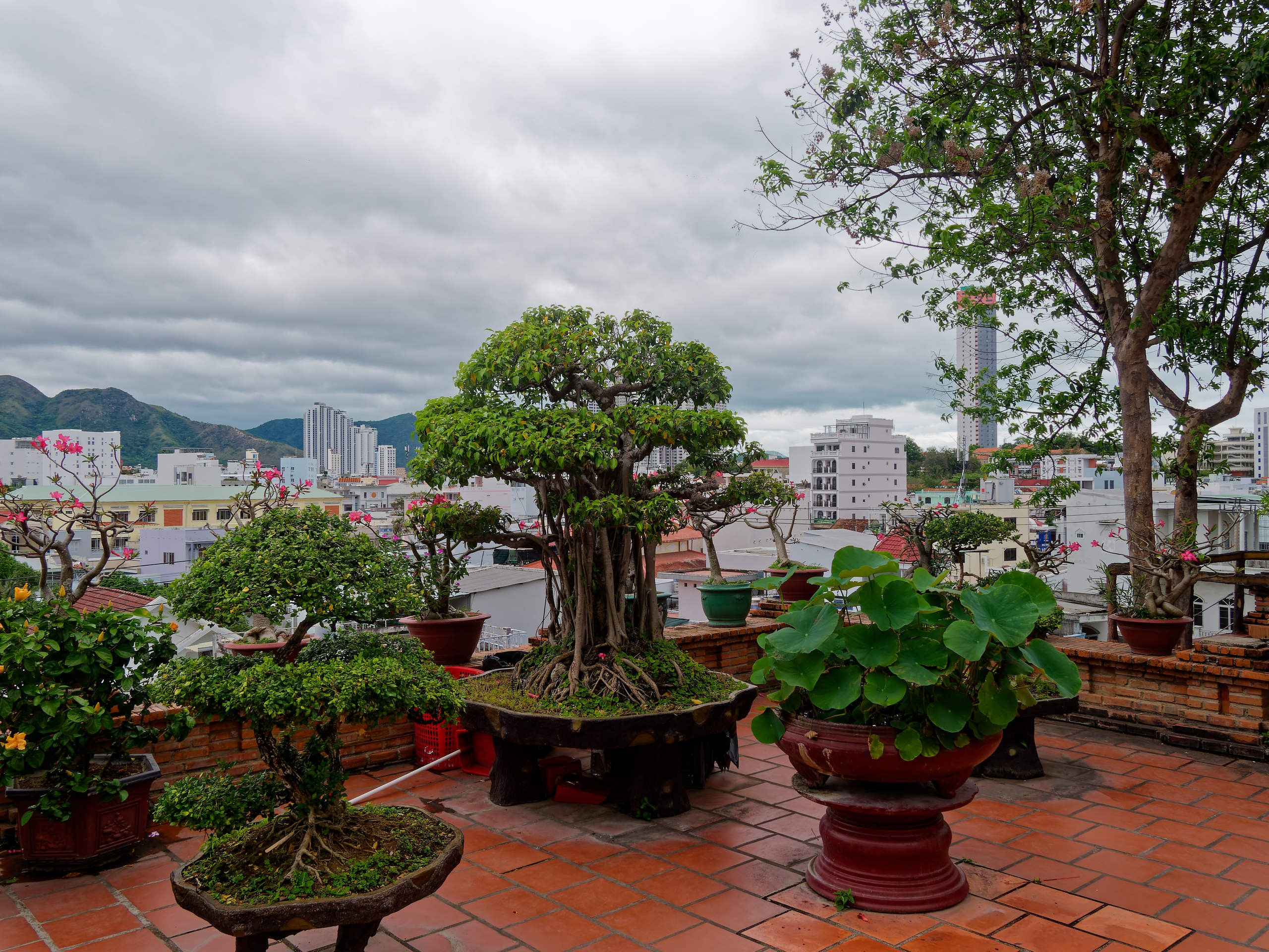 Нячанг 2025 (4). Избранные фотографии