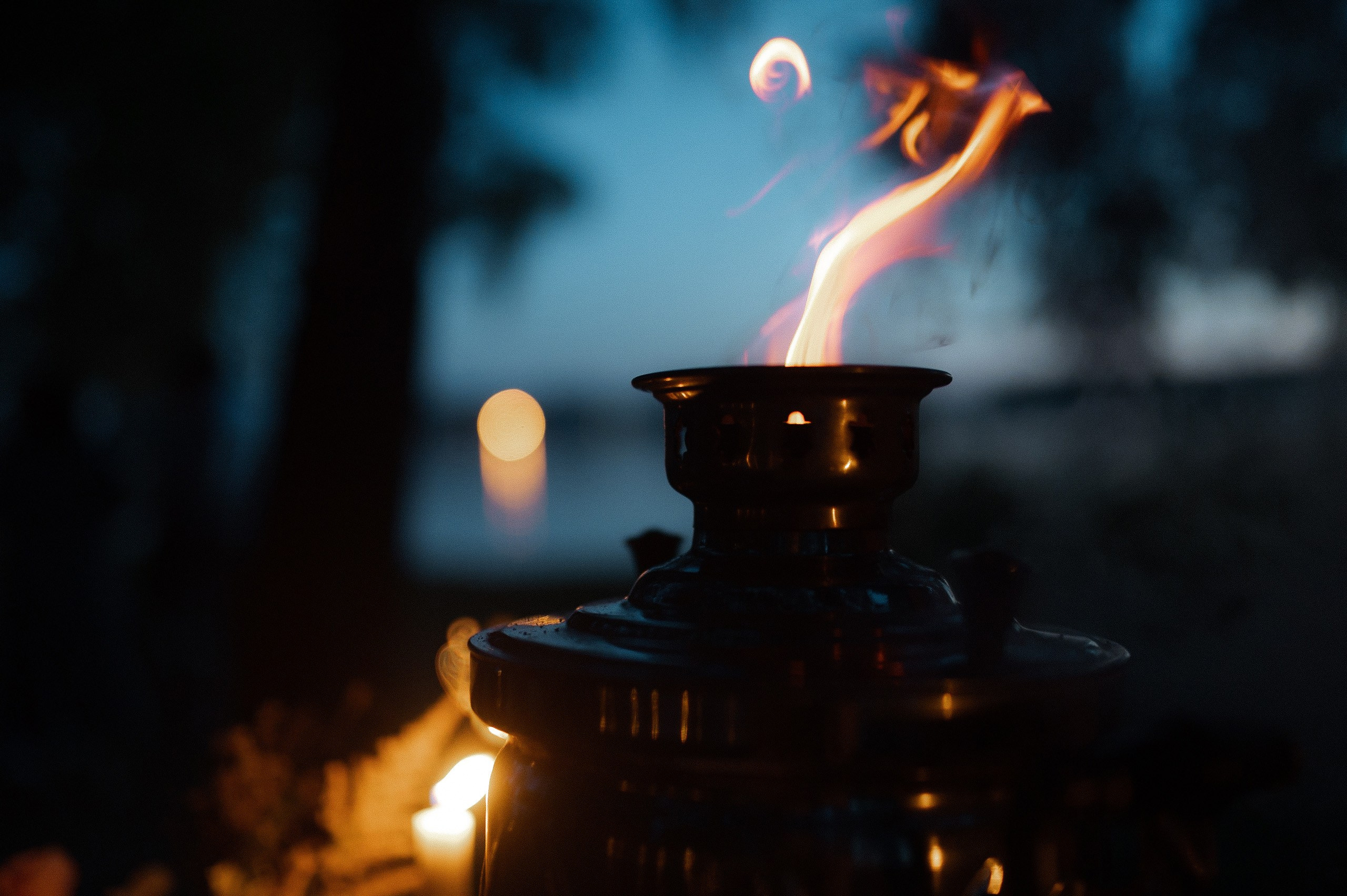 Камерный свадебный ужин в березовой роще. Афина Ефимова. Свадебный фотограф Москва