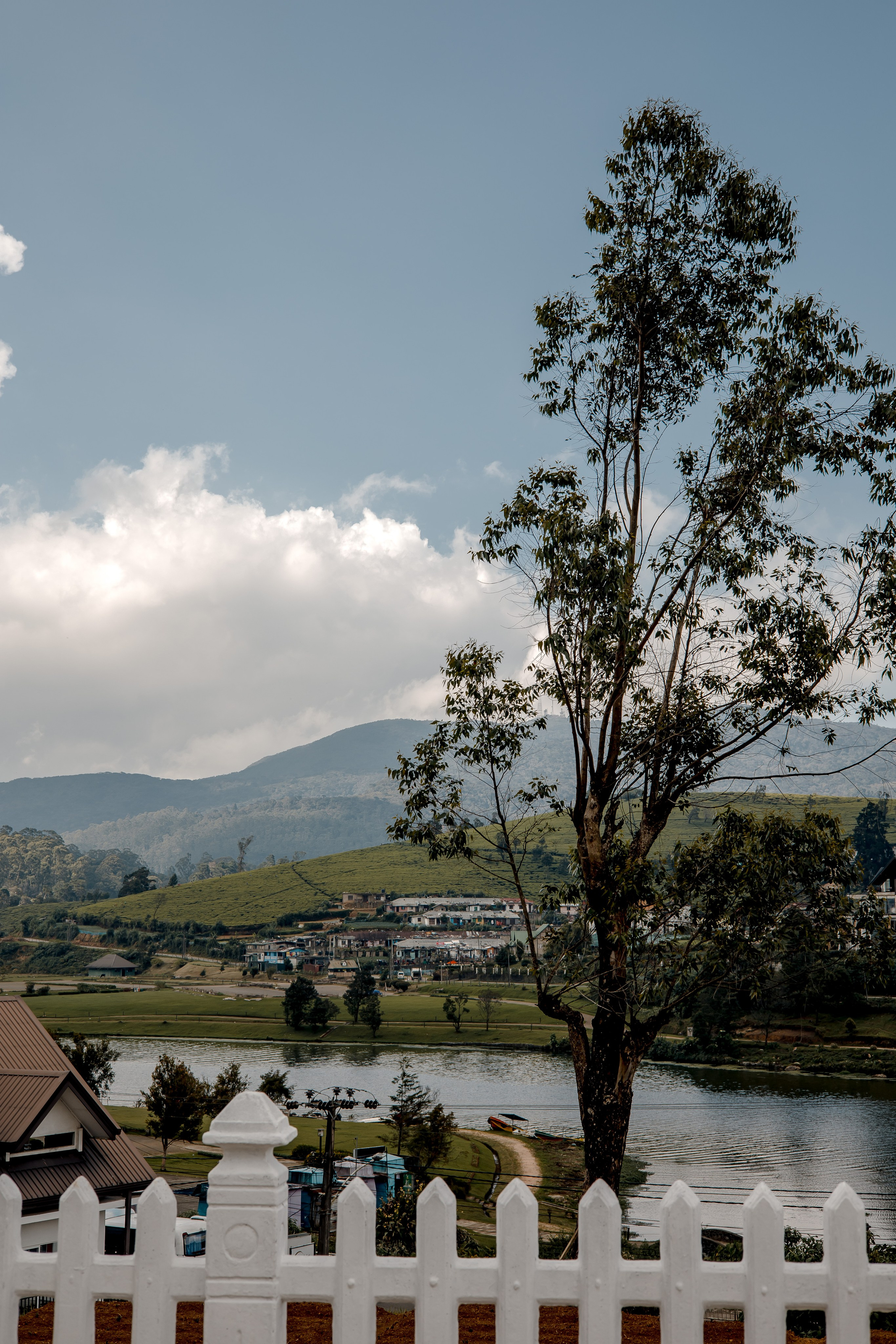 Sri Lanka, Nuwara Elia 2026. Art Photographer