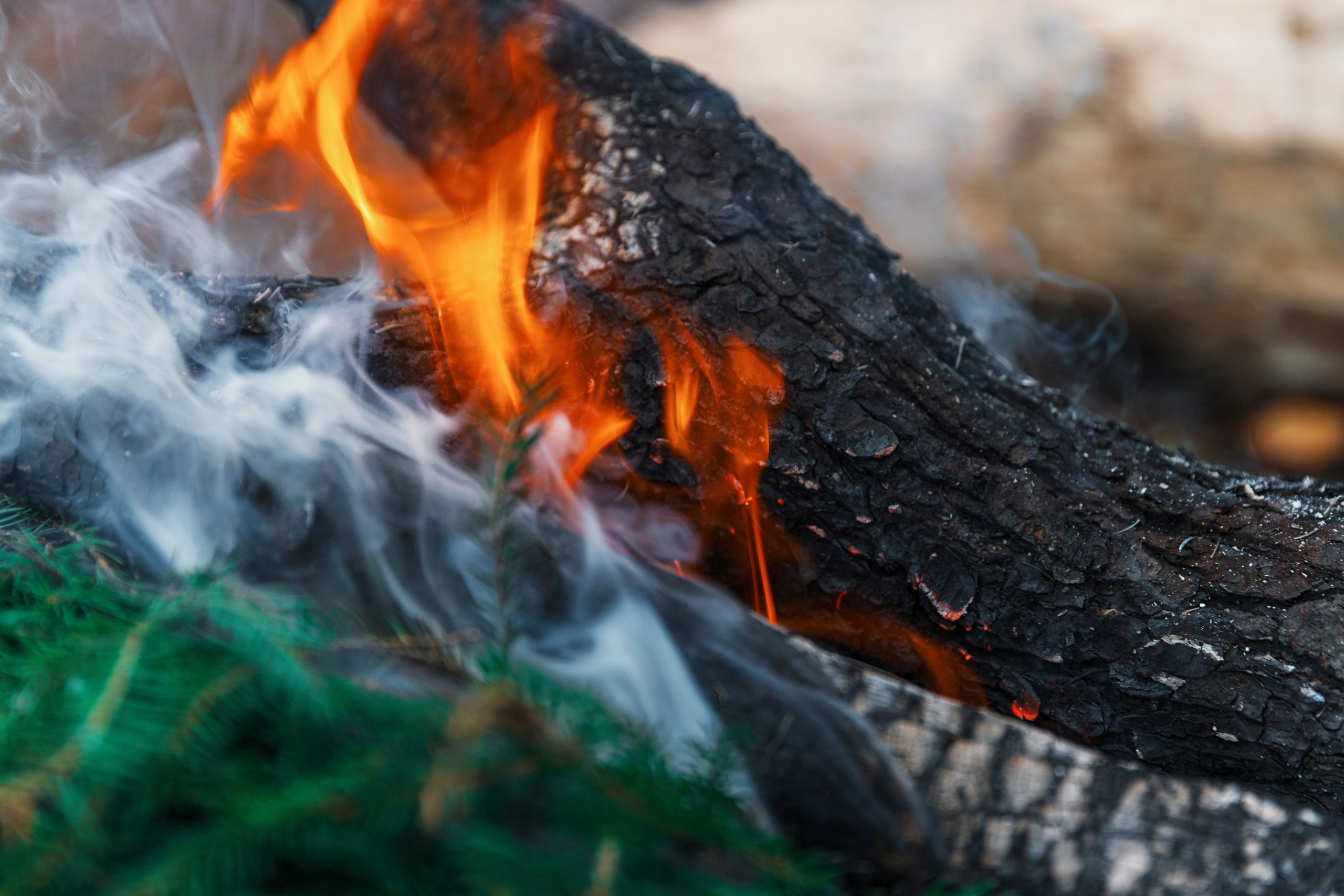 Рекламная фотосъемка автодомов в Санкт-Петербурге | Фотограф для бизнеса