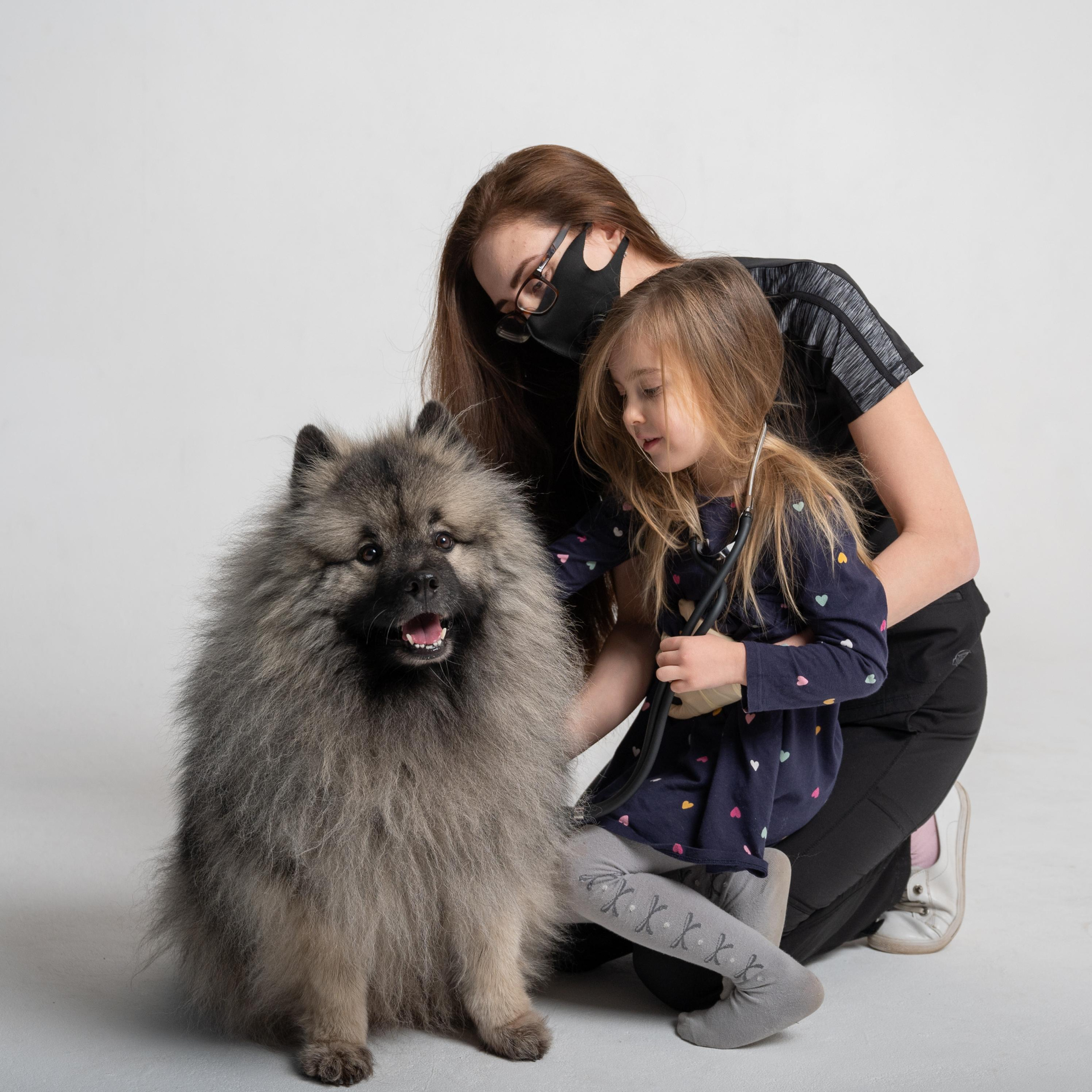 Фотоссесия с ивотными. Событийный фотограф в Санкт — Петербурге Elena Ushakova