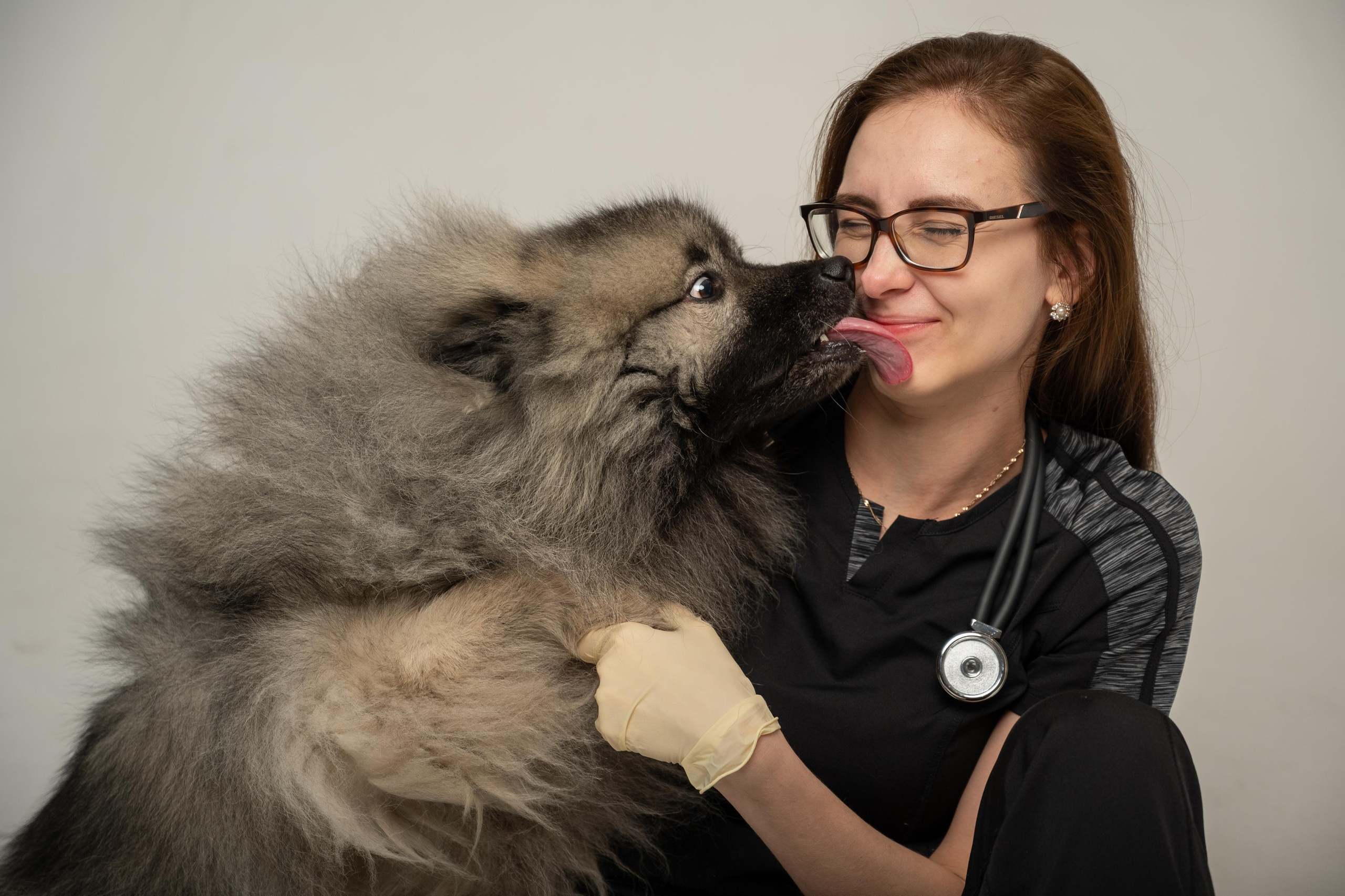 Фотоссесия с ивотными. Событийный фотограф в Санкт — Петербурге Elena Ushakova